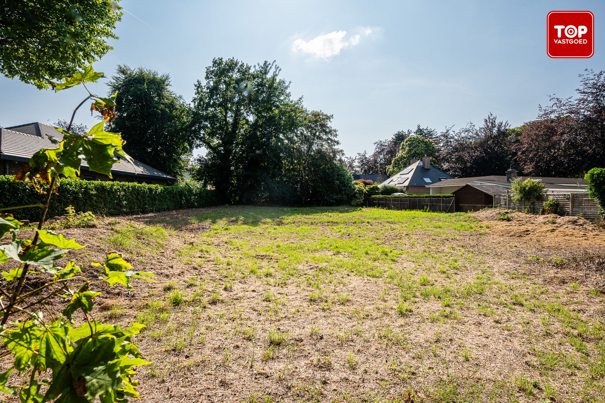 1200m² grond met tal van mogelijkheden foto 7