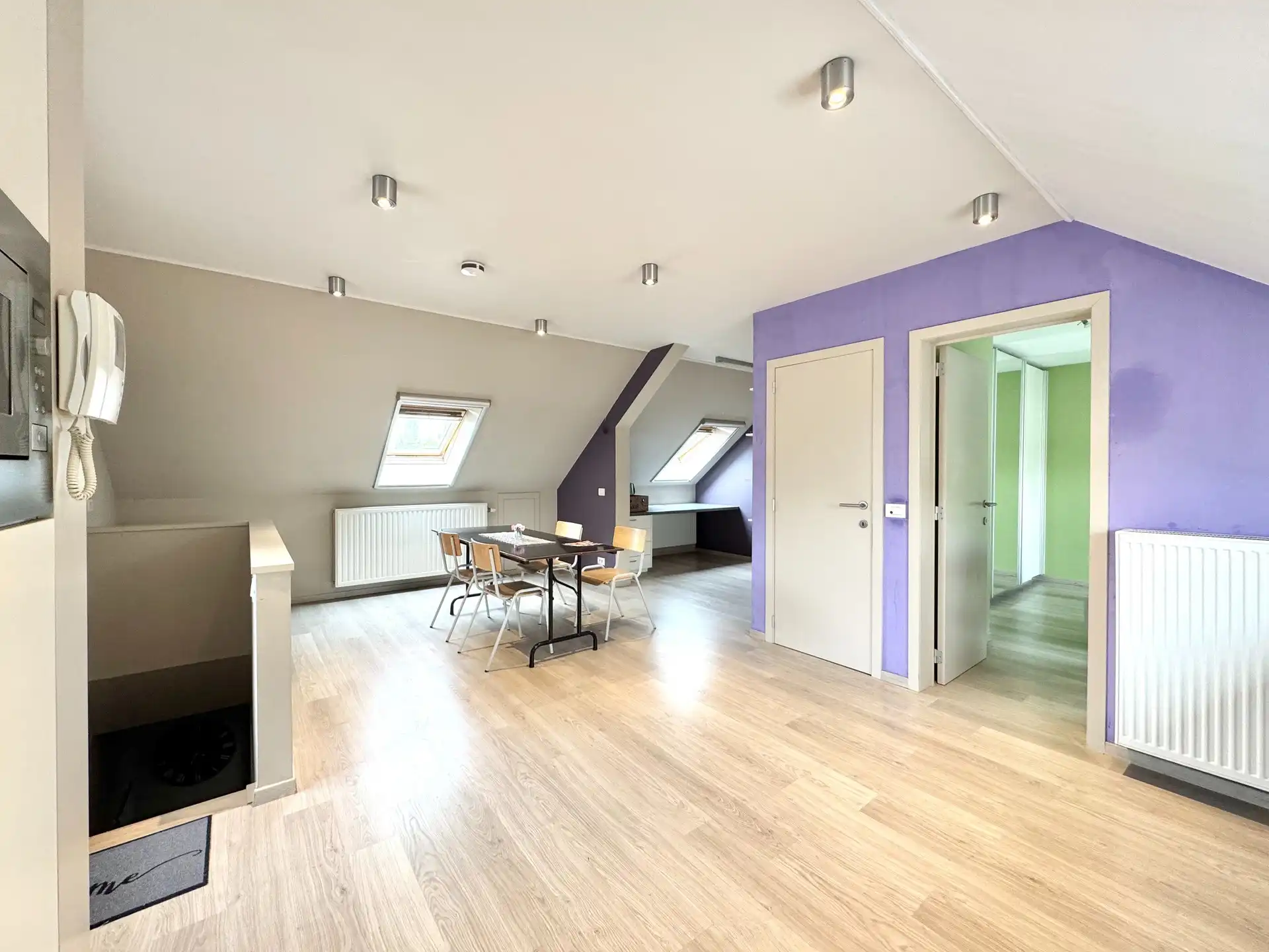 ENERGIEZUINIG GEBOUW MET 2 GROTE GARAGES - 553 M² foto 34