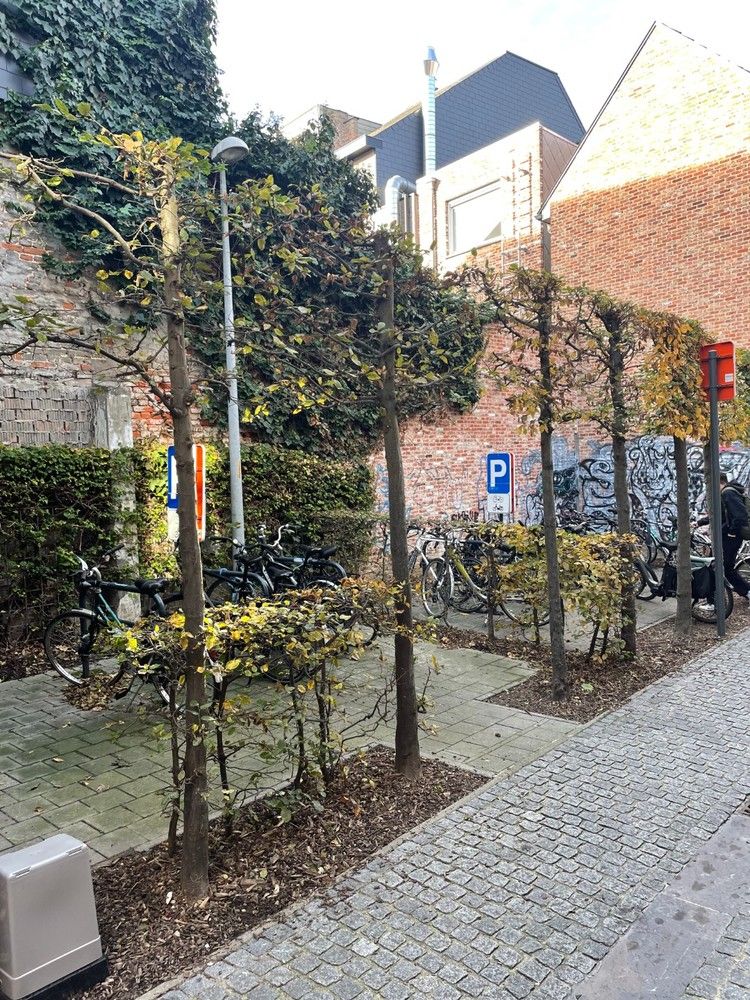 Gezellige instapklare woning centrum Leuven foto 18