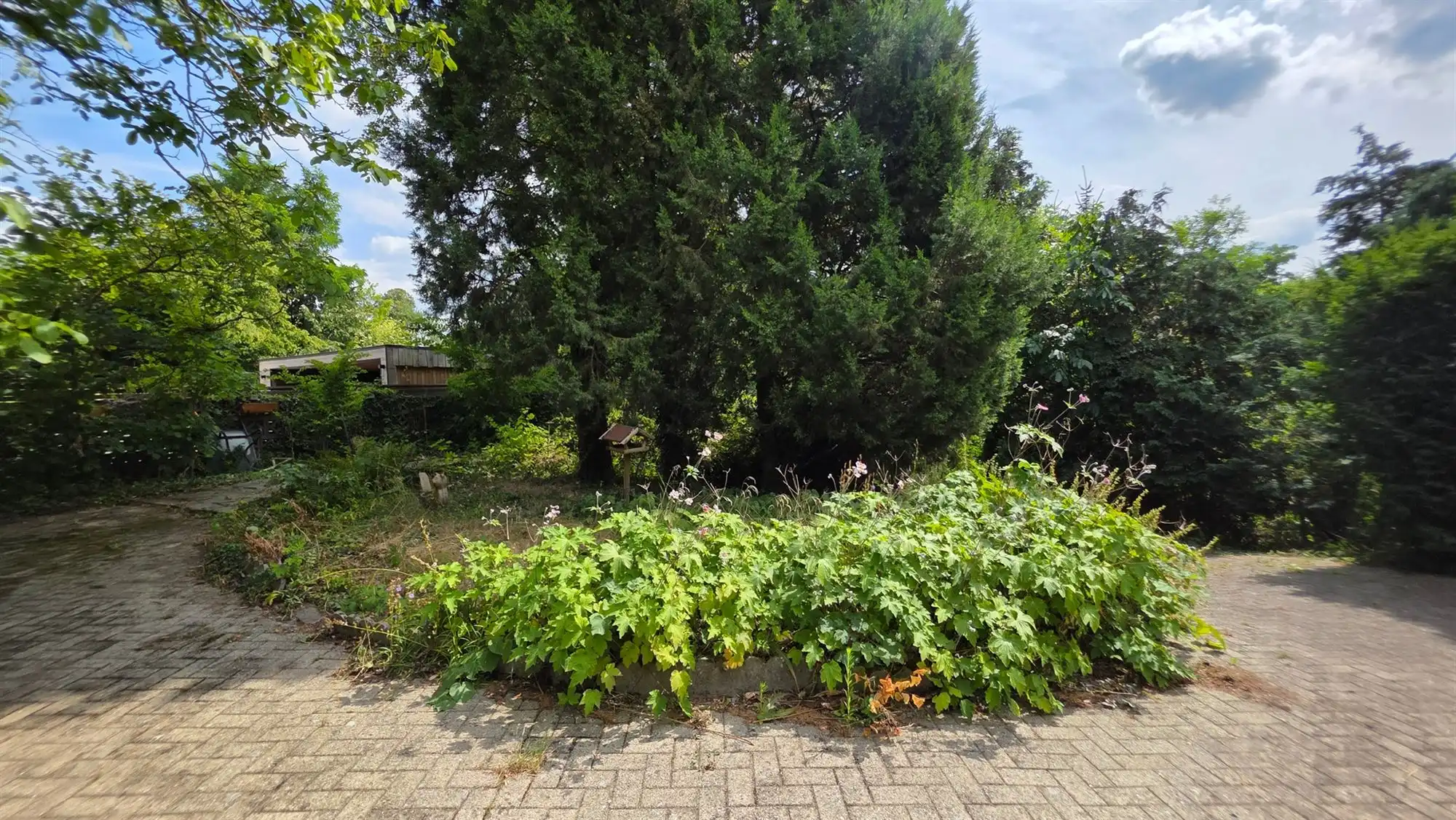 Ruime villa foto 17