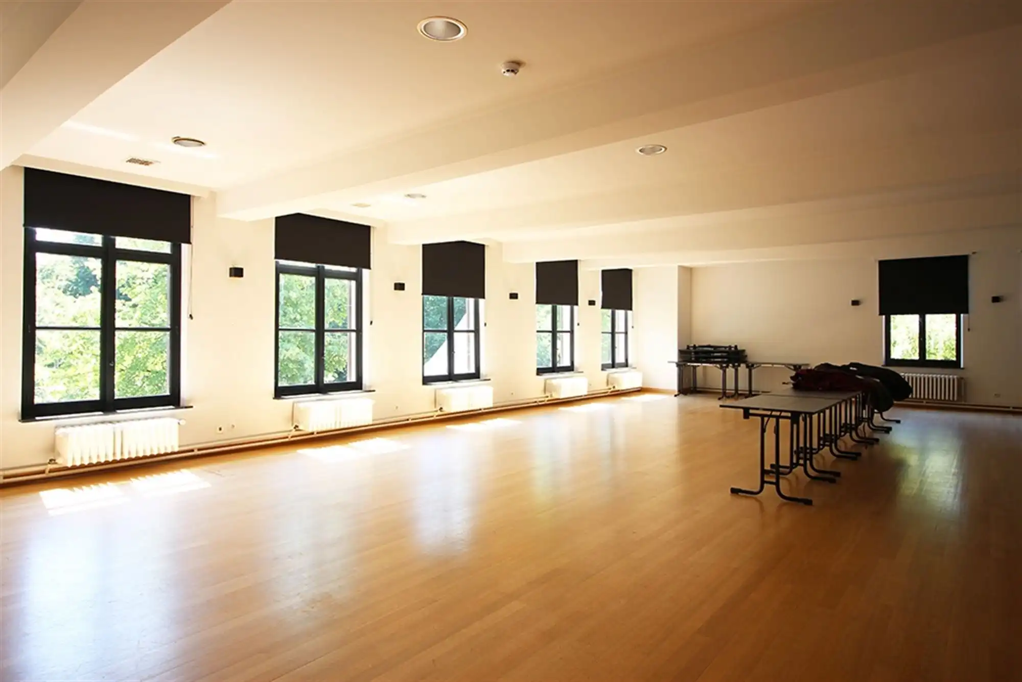 Uniek erfgoed met uitzonderlijk commercieel potentieel  foto 23