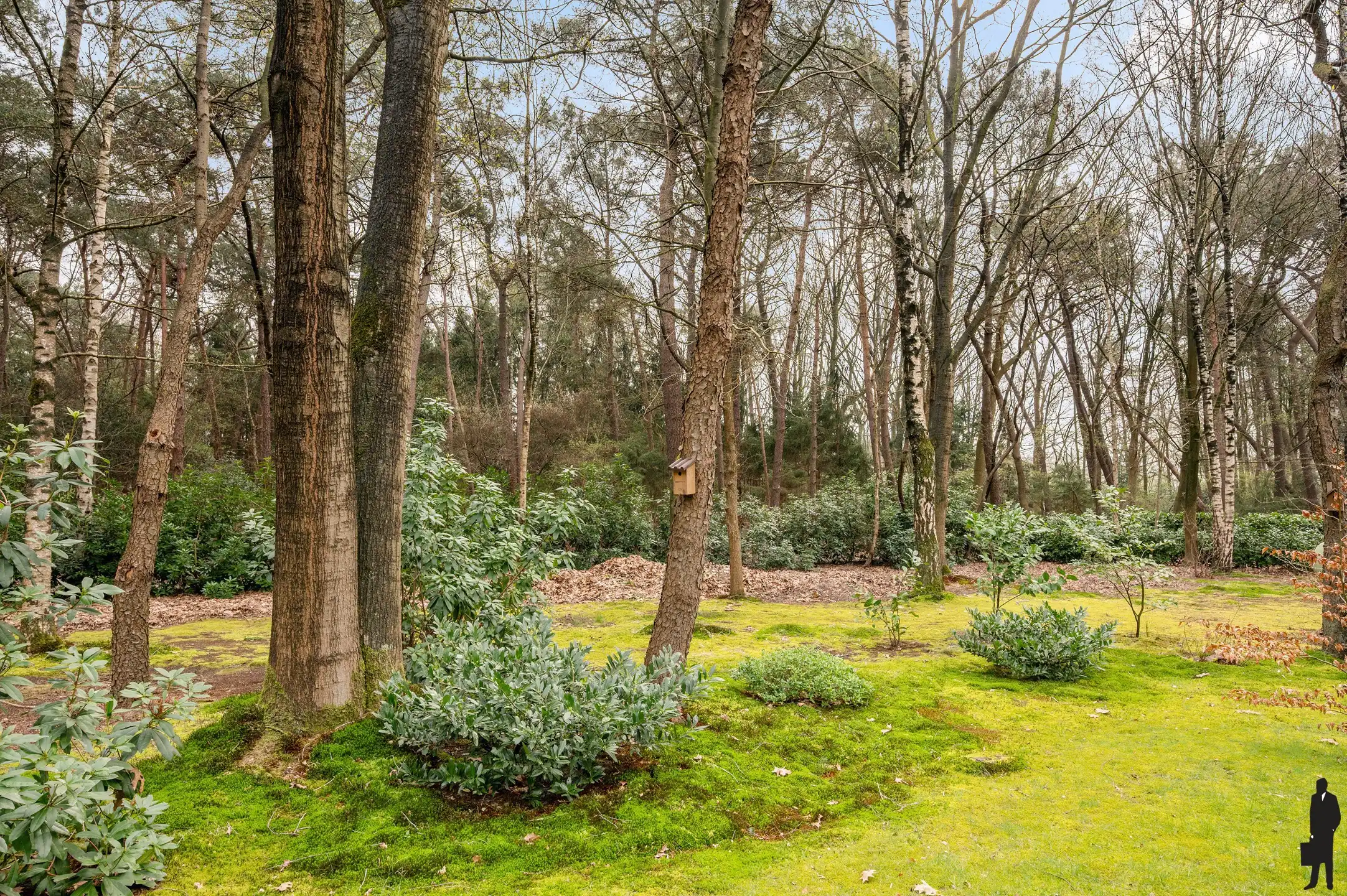 Rustig gelegen weekendwoning met héel veel privacy foto 21