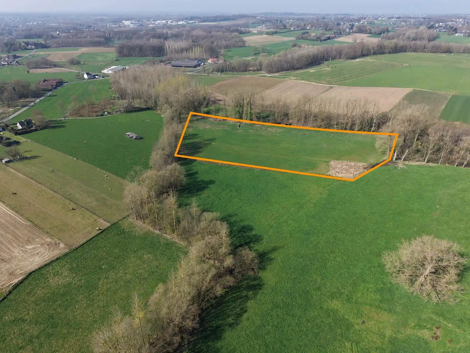 Goed gelegen landbouwgrond van 2,3 hectare  foto 2