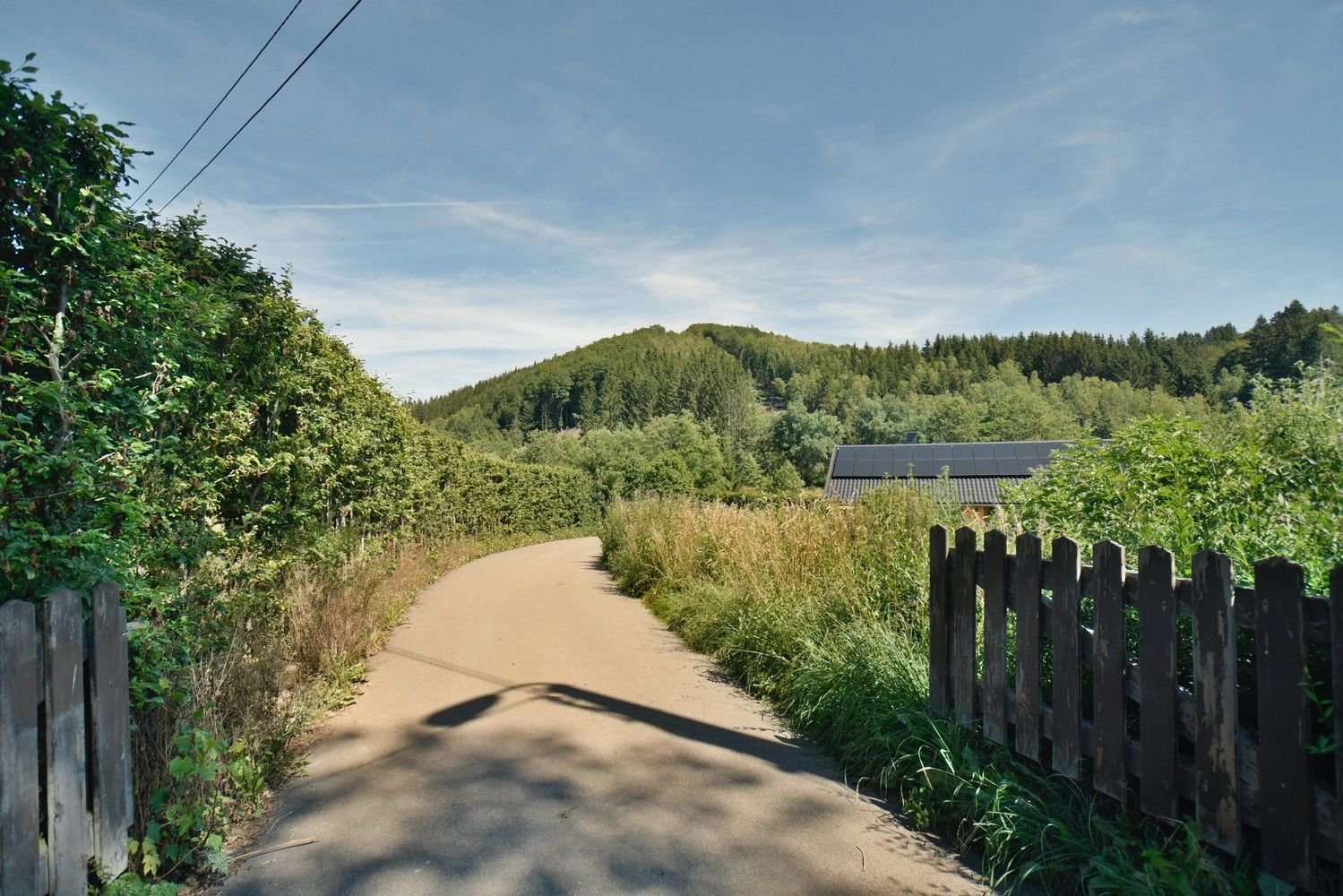 Domein van bijna 6 ha met een charmant landhuis en multifunctioneel vrijstaand bijgebouw op een idyllische, natuurrijke locatie te Amel foto 4