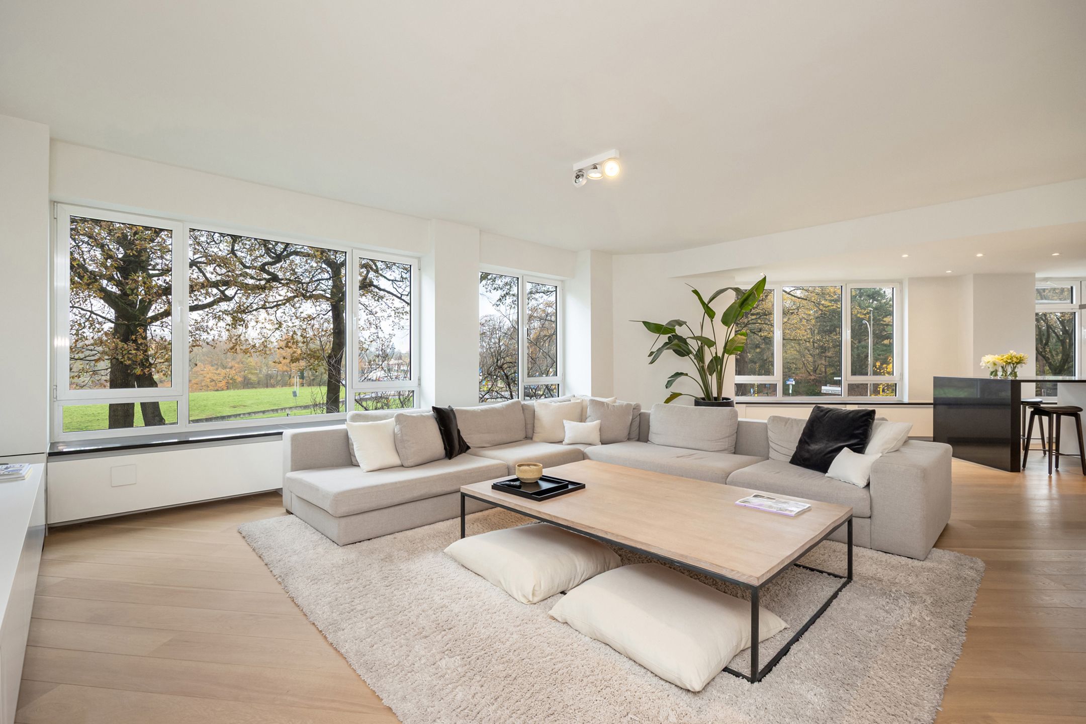 Luxe gemeubeld appartement in Antwerpen  foto 5