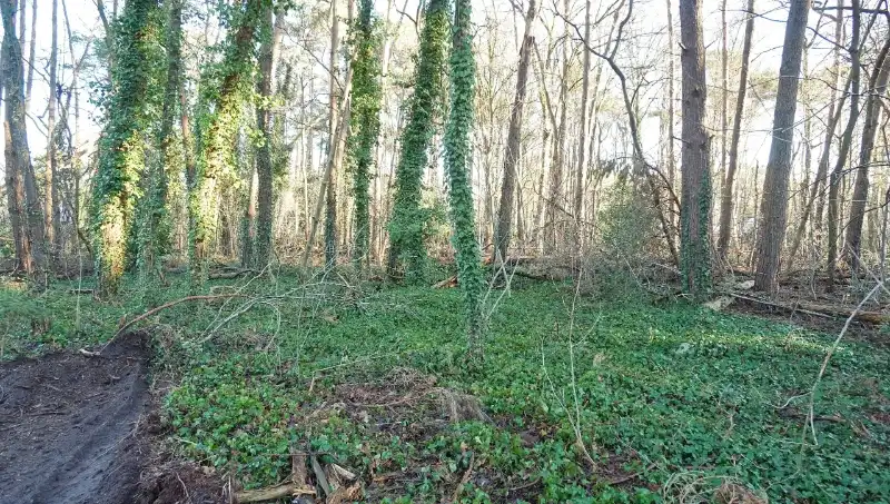 Residentieel gelegen bouwgrond van 31a10ca voor open bebouwing met private toegangsweg nabij golf- en meerdomein foto 7