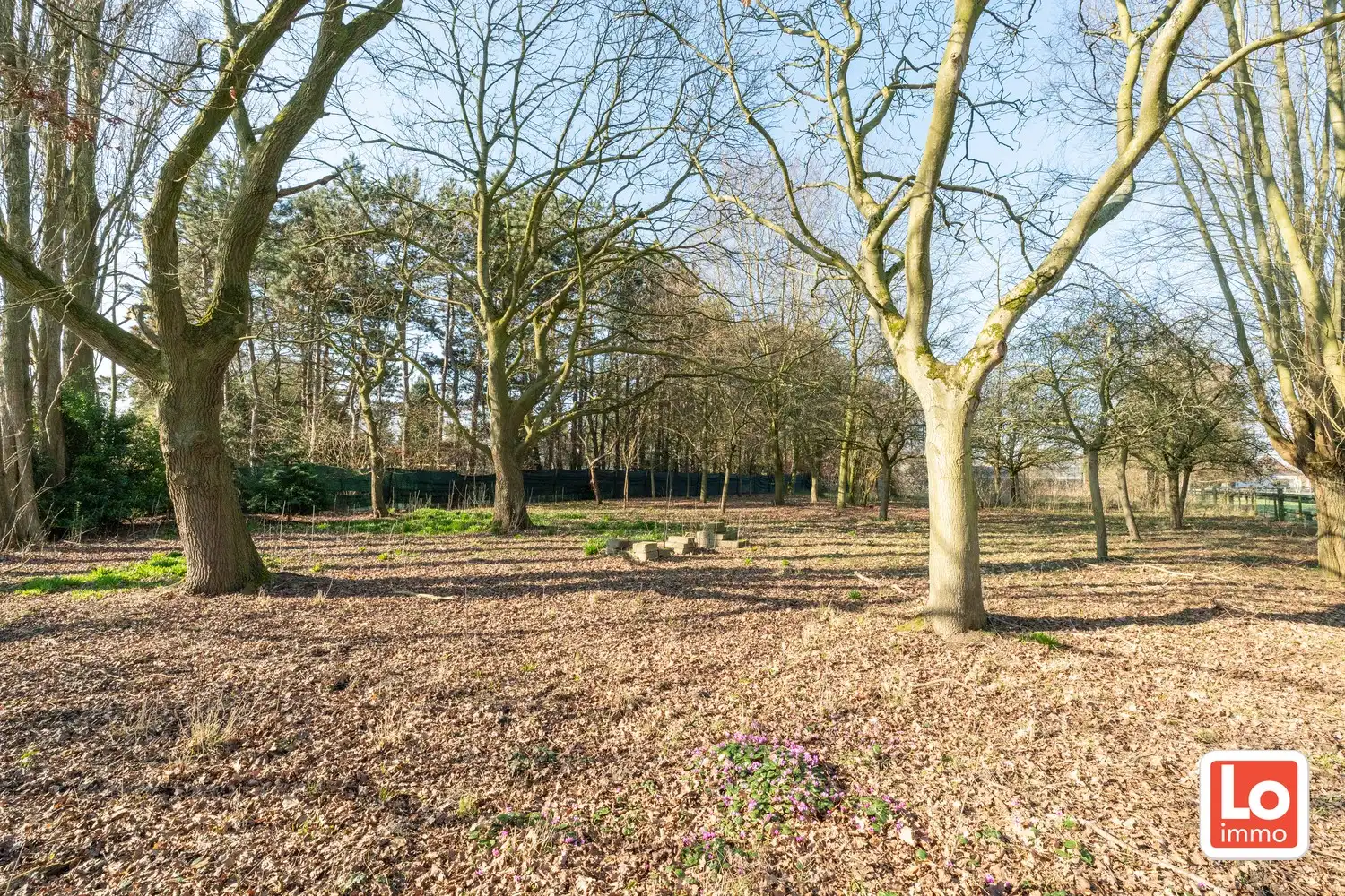 Projectgrond en/of totaalrenovatie op een rustige en landelijke ligging tussen Beervelde en Destelbergen! foto 7