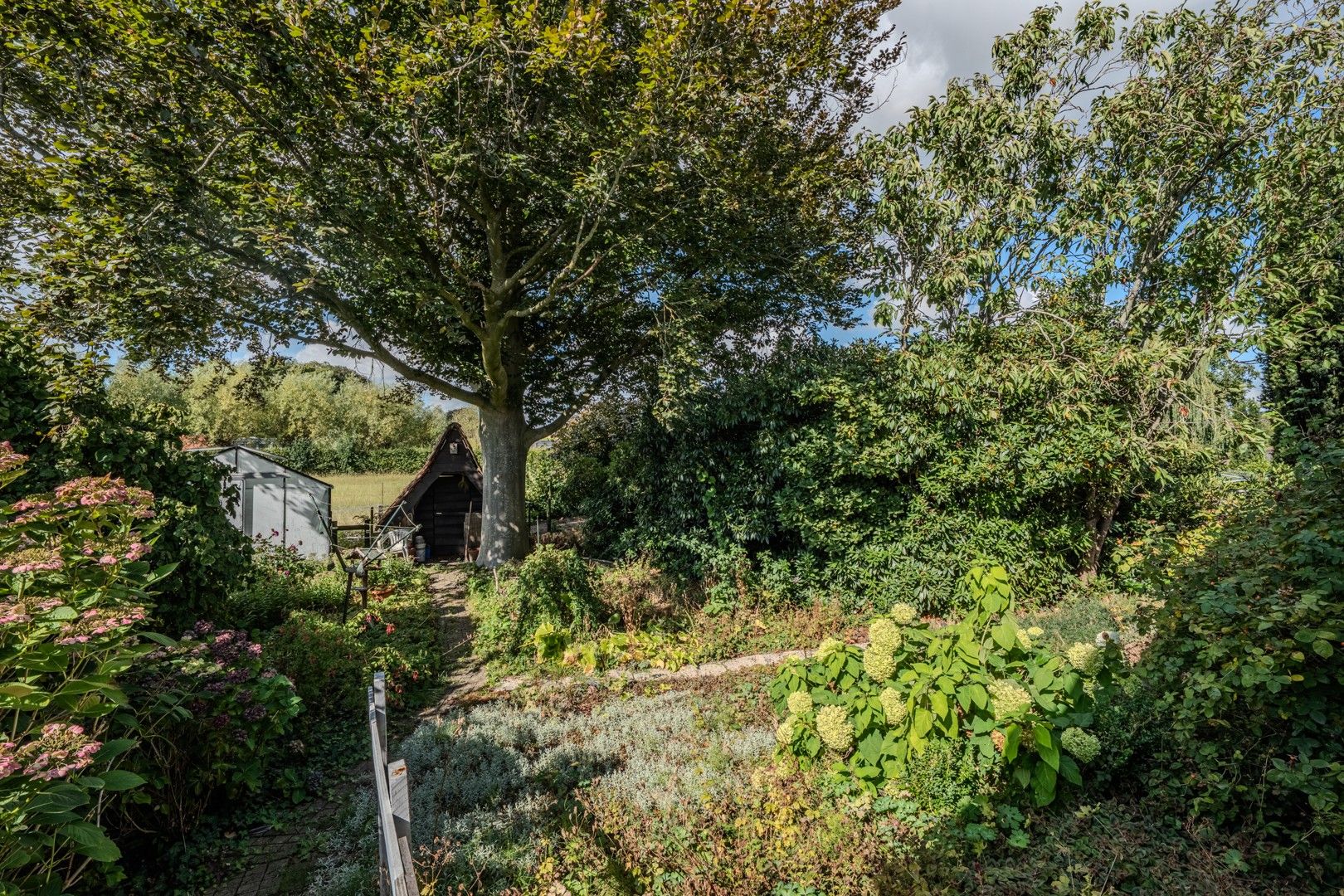 Te renoveren bungalow op zonnig perceel foto 4