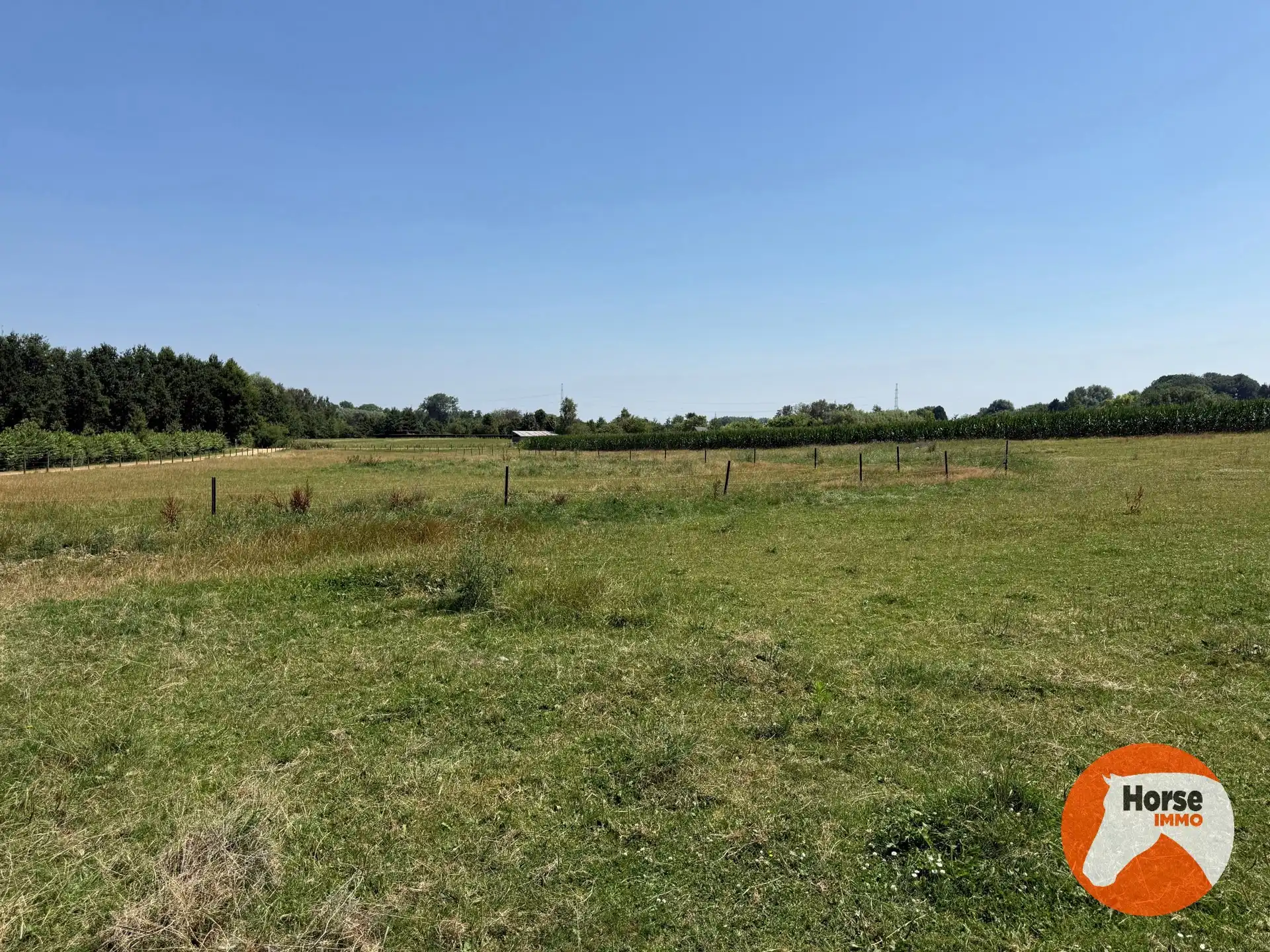 ASSE - Paardenaccommodatie op 1,07ha met 3 vergunde stallen foto 7