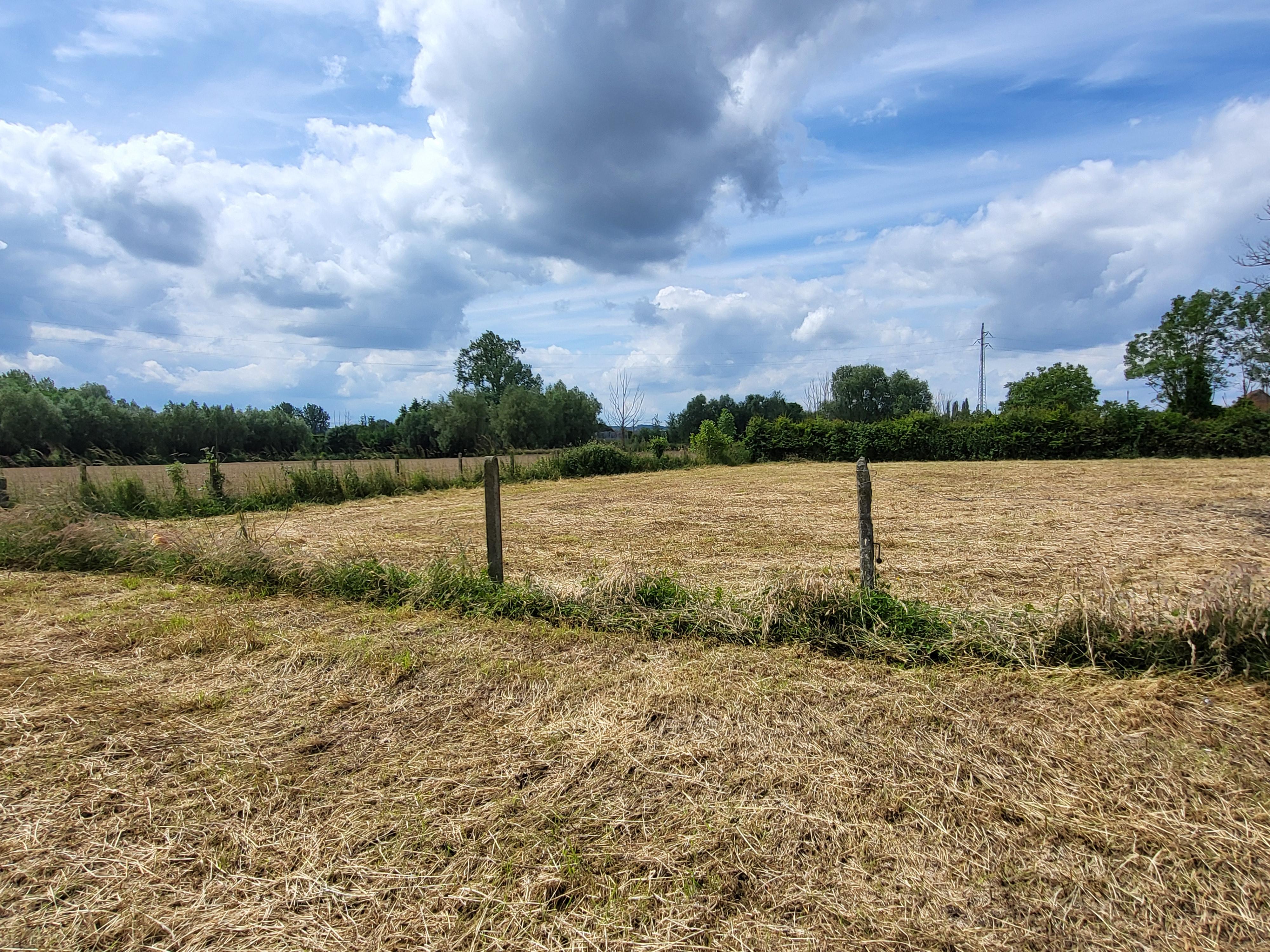 Charmant te renoveren vierkanthoeve op 2696m² met panoramisch uitzicht op de velden.  foto 13