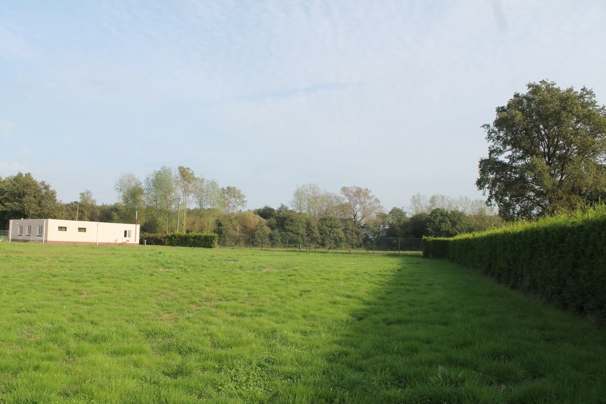 Kalverhouderij + paardenhouderij op ca. 1,5 ha te koop te Ravels foto 17