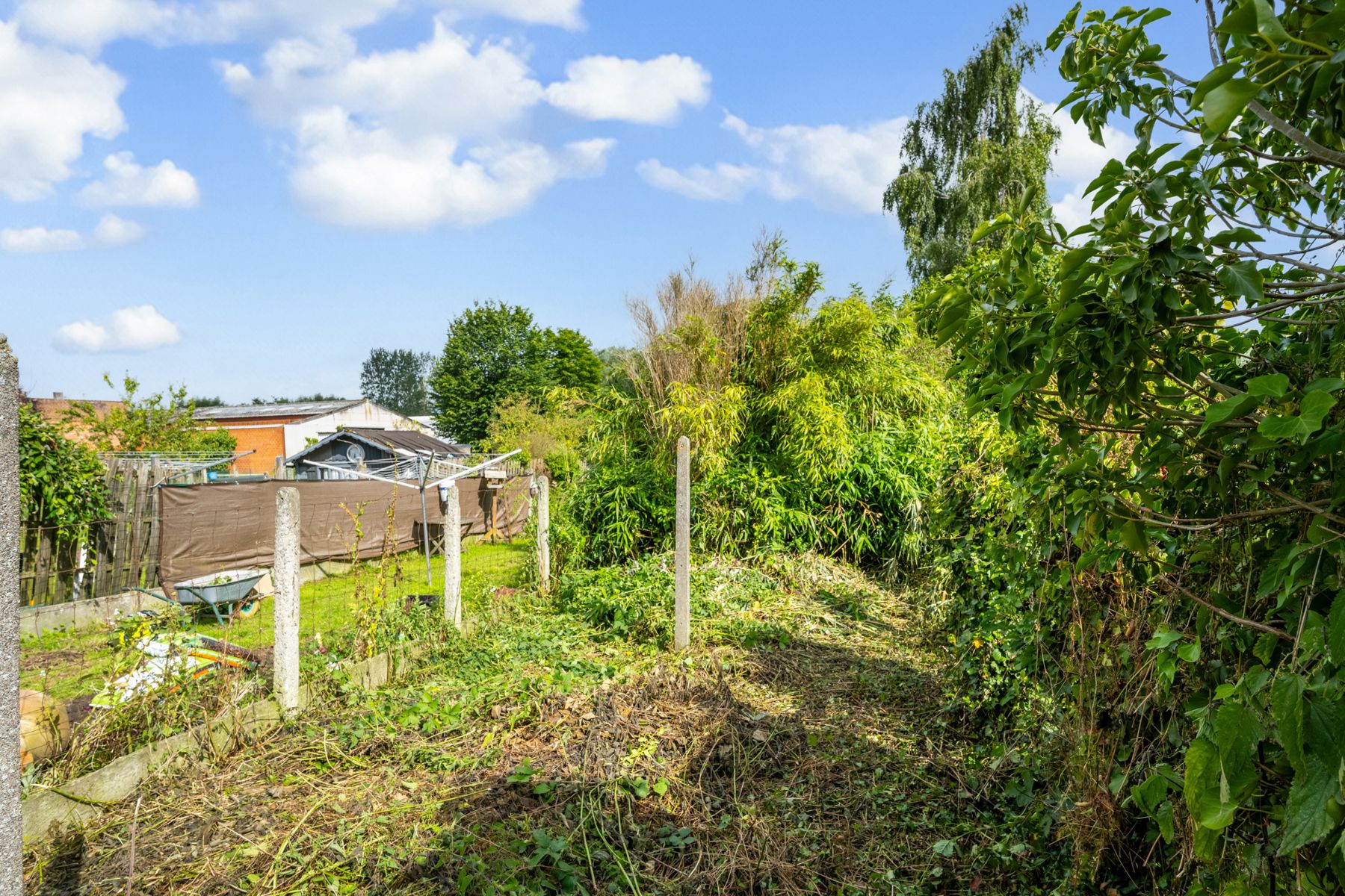 KNUSSE RIJWONING MET MOGELIJKHEID TOT 4 SLPK foto 17