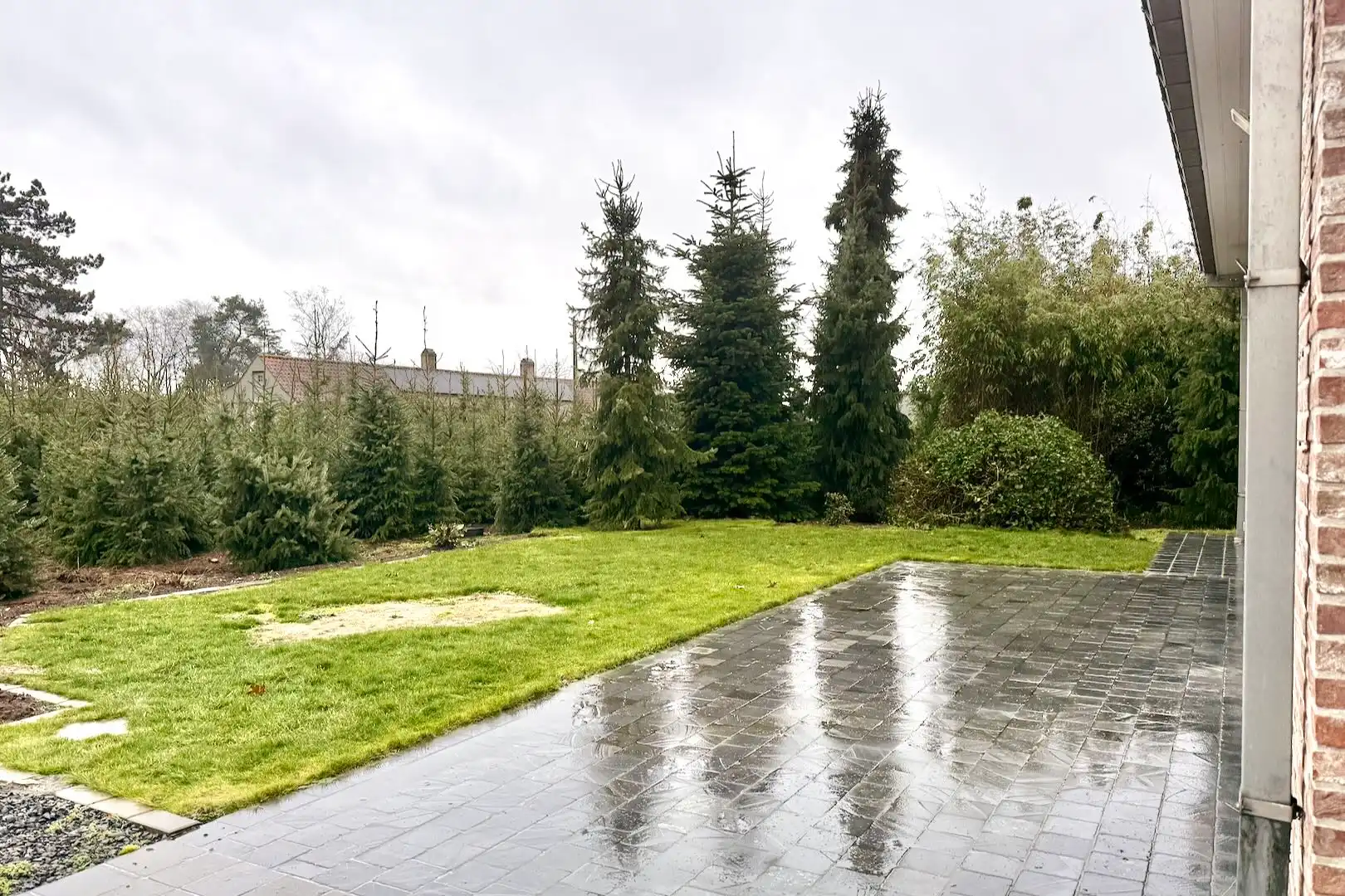 Villa met tuin en carport te huur in Kruishoutem -  Kruisem. 3 slaapkamers foto 3