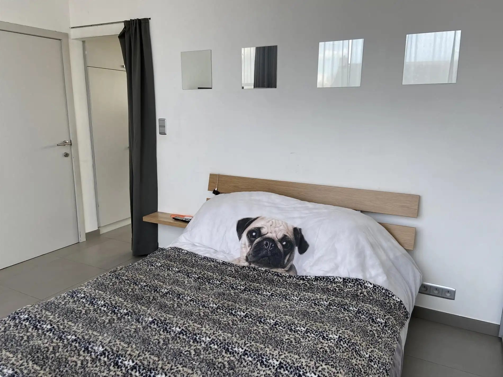 Appartement met 1 slaapkamer en zeer ruim (30m²) terras te St.-Jozef-Olen ! foto 17