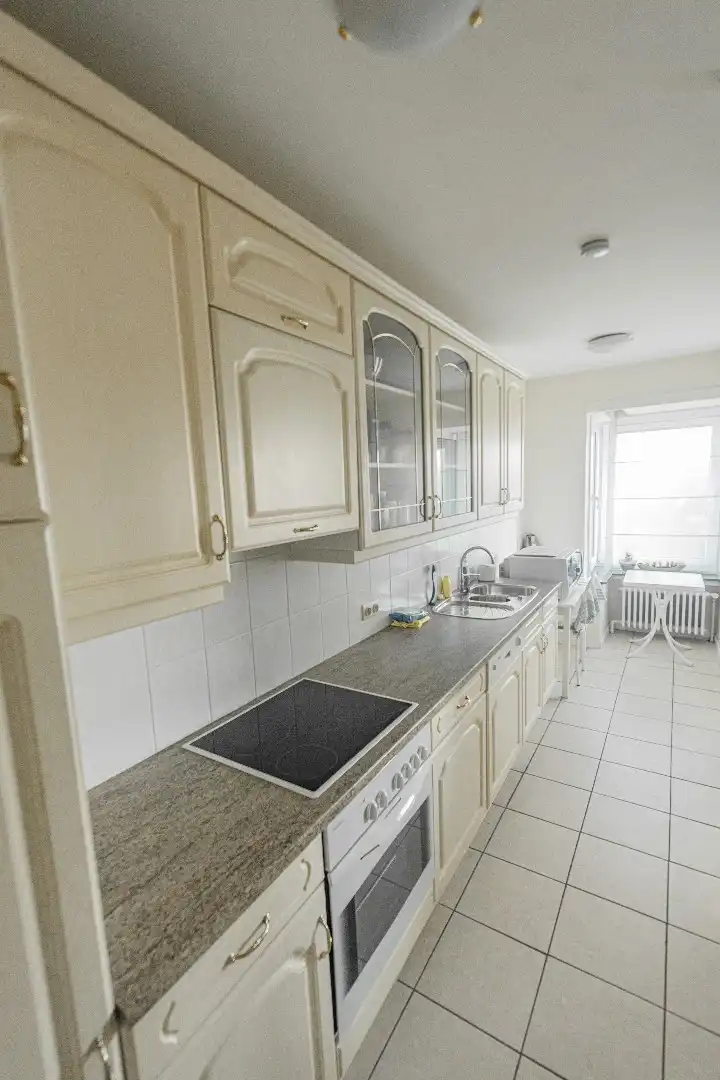  Ruim en lichtrijk appartement met prachtig panoramisch parkzicht foto 5