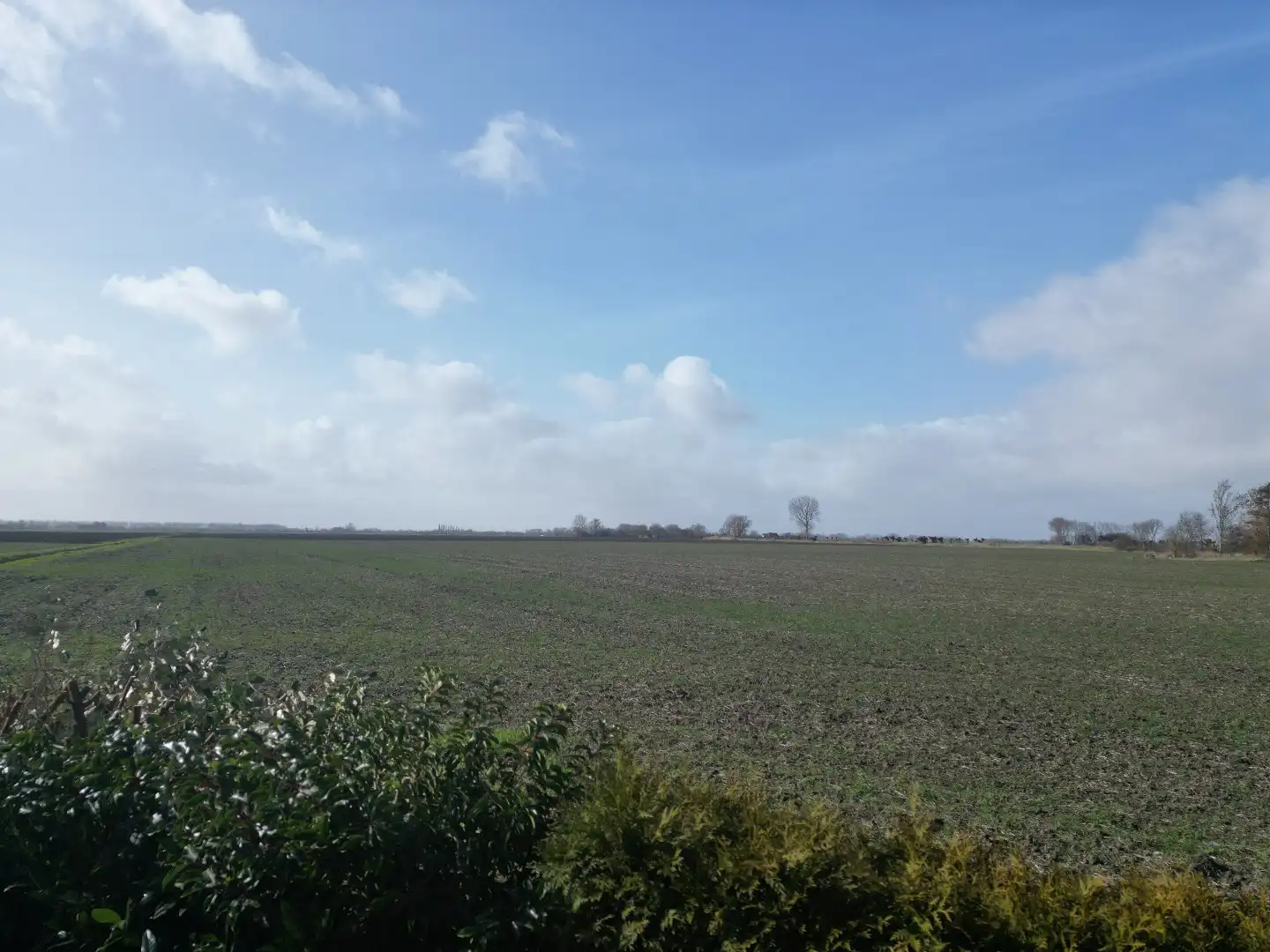 Charmante dijkwoning in het hart van de Zeeuwse polders (Slikkenburg) foto 31