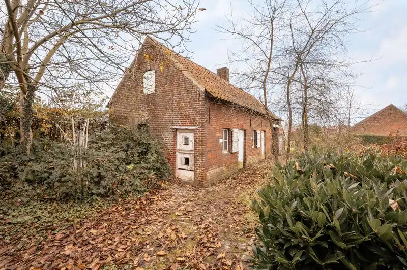 Hoeve op 1ha te Lierde foto 7
