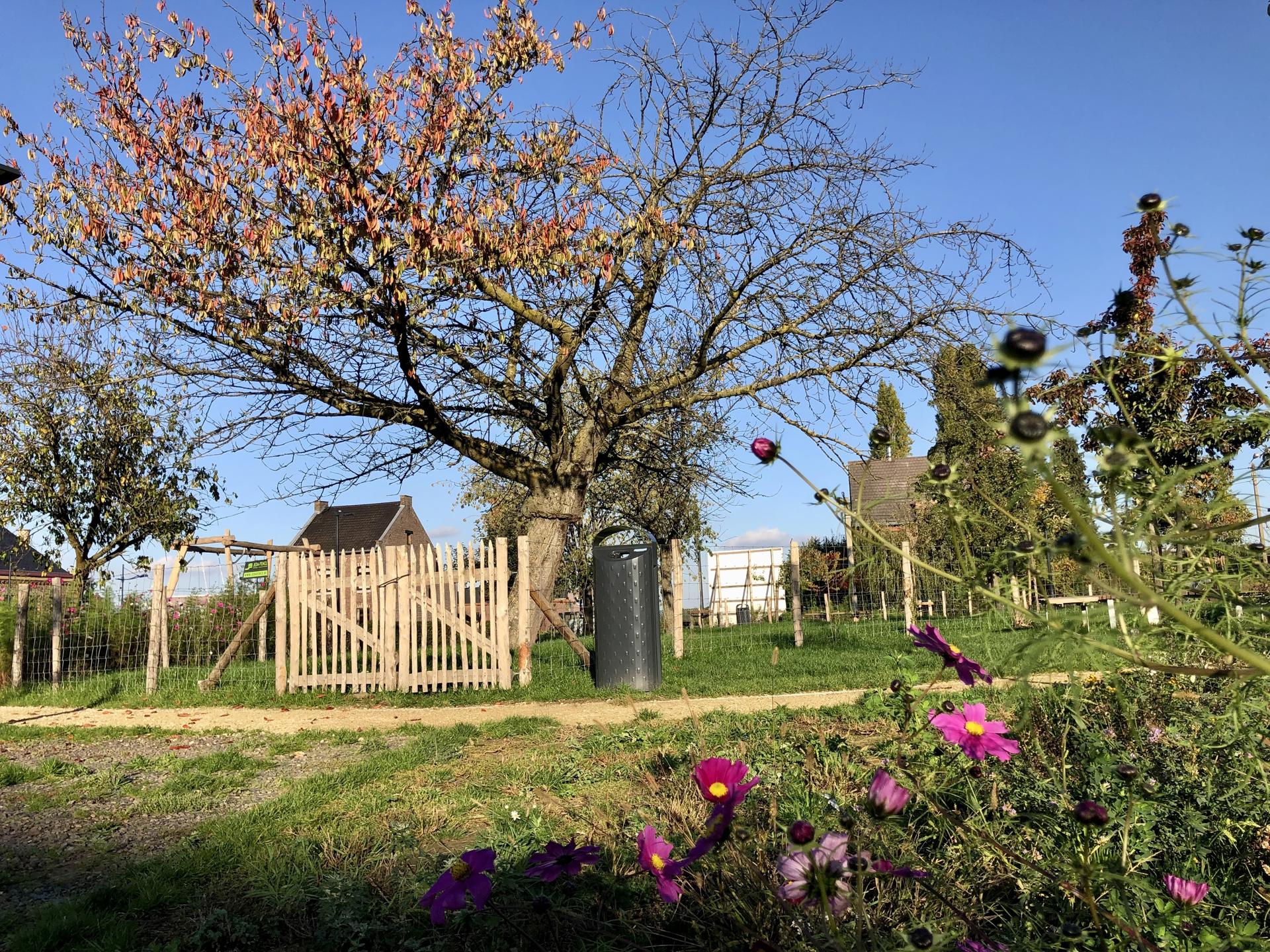 Nieuwbouw Pastorijwoning met 3 slaapkamers foto 8