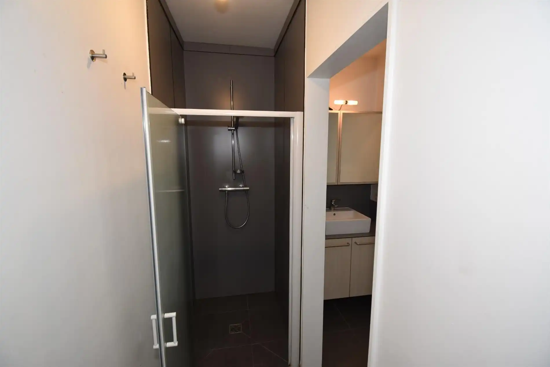 Dakappartement met terras te Watervliet foto 16