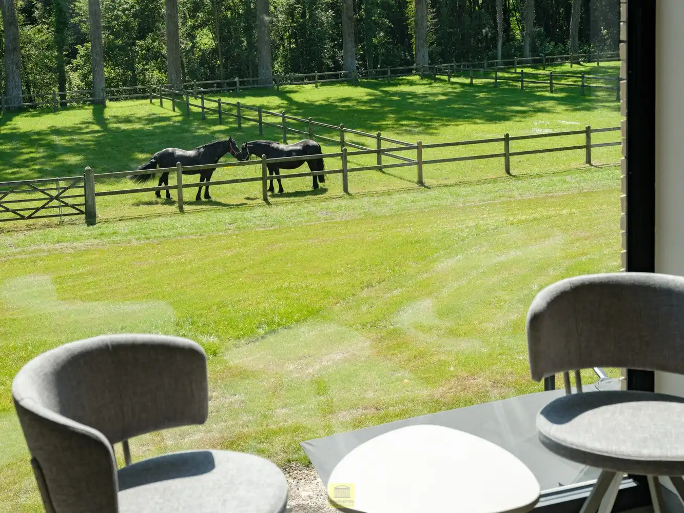 Uitzonderlijk pand - manege met gastenverblijf foto 6