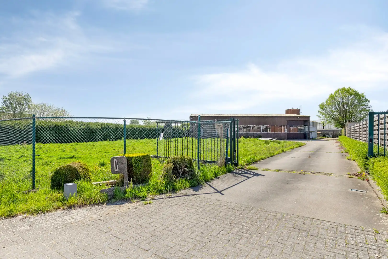 Serrecomplex met agrarische grond en magazijn foto 12