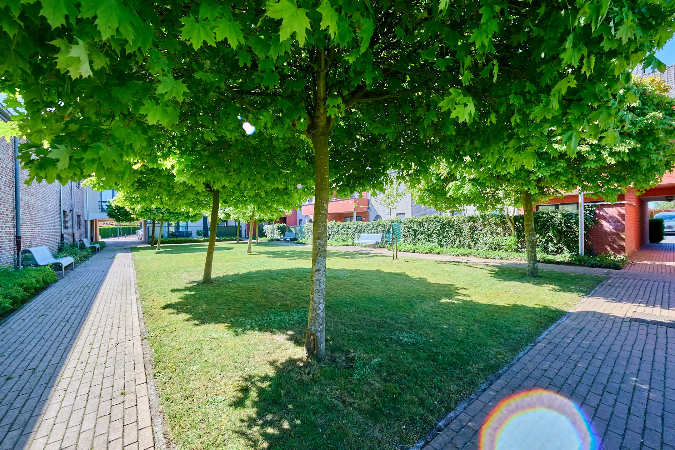 RUIM INSTAPKLAAR EN LICHTRIJK APPARTEMENT MET 2 TERRASSEN foto 12