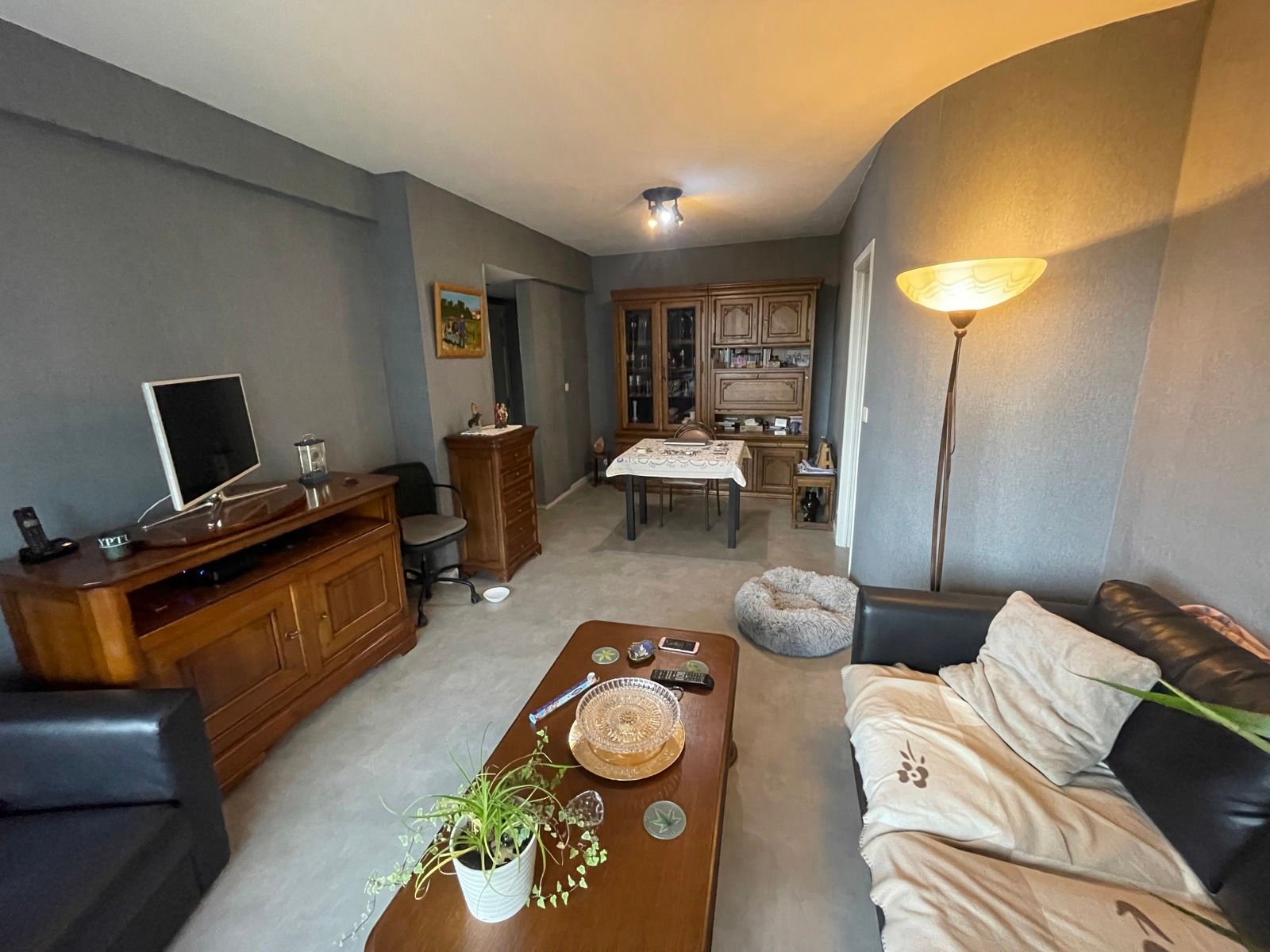 OPTIE Appartement met één slaapkamer, terras en kelder foto 2