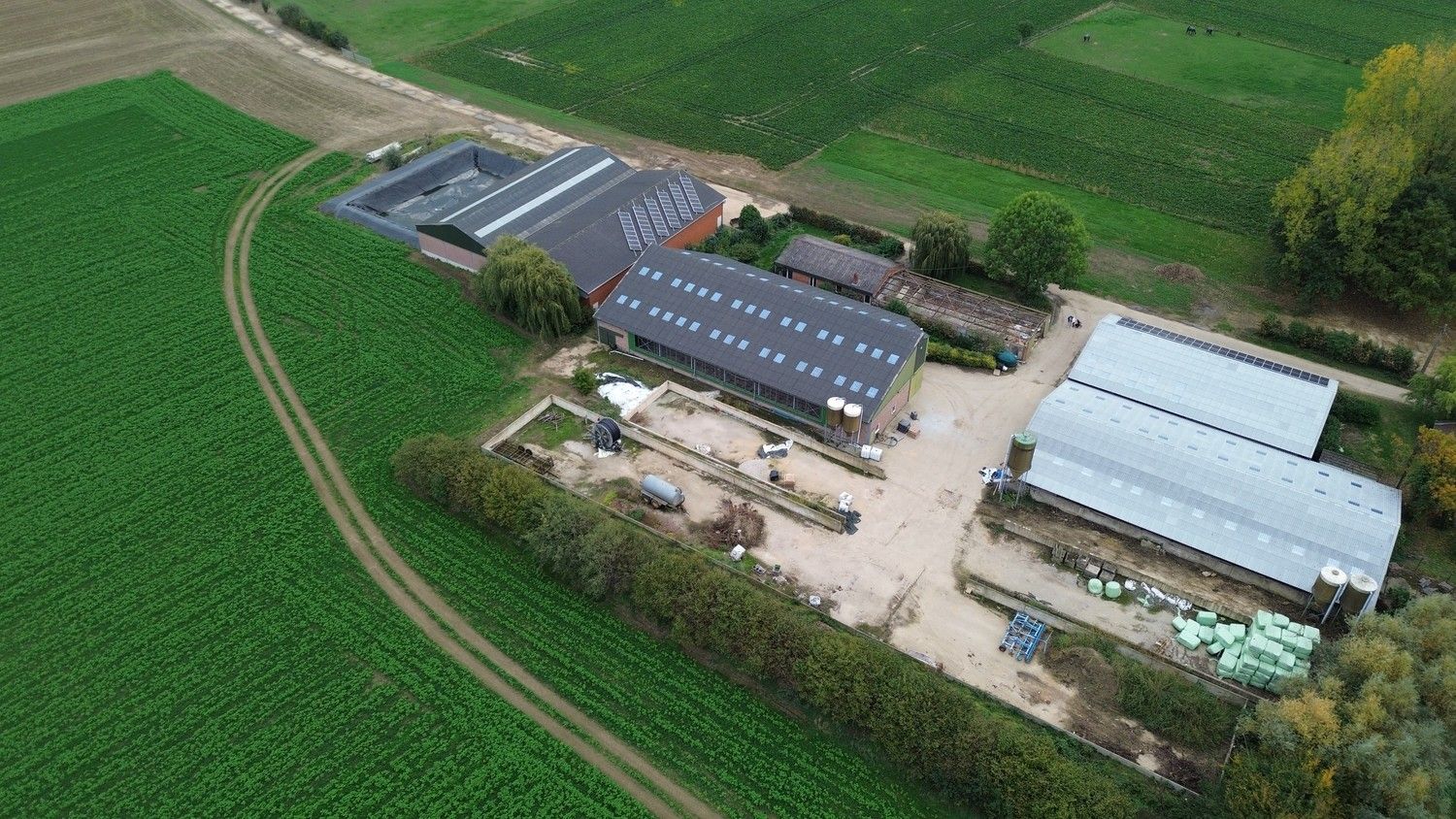 Prachtige boerderij op 1,4 hectare grond in Rekem/Lanaken foto 3