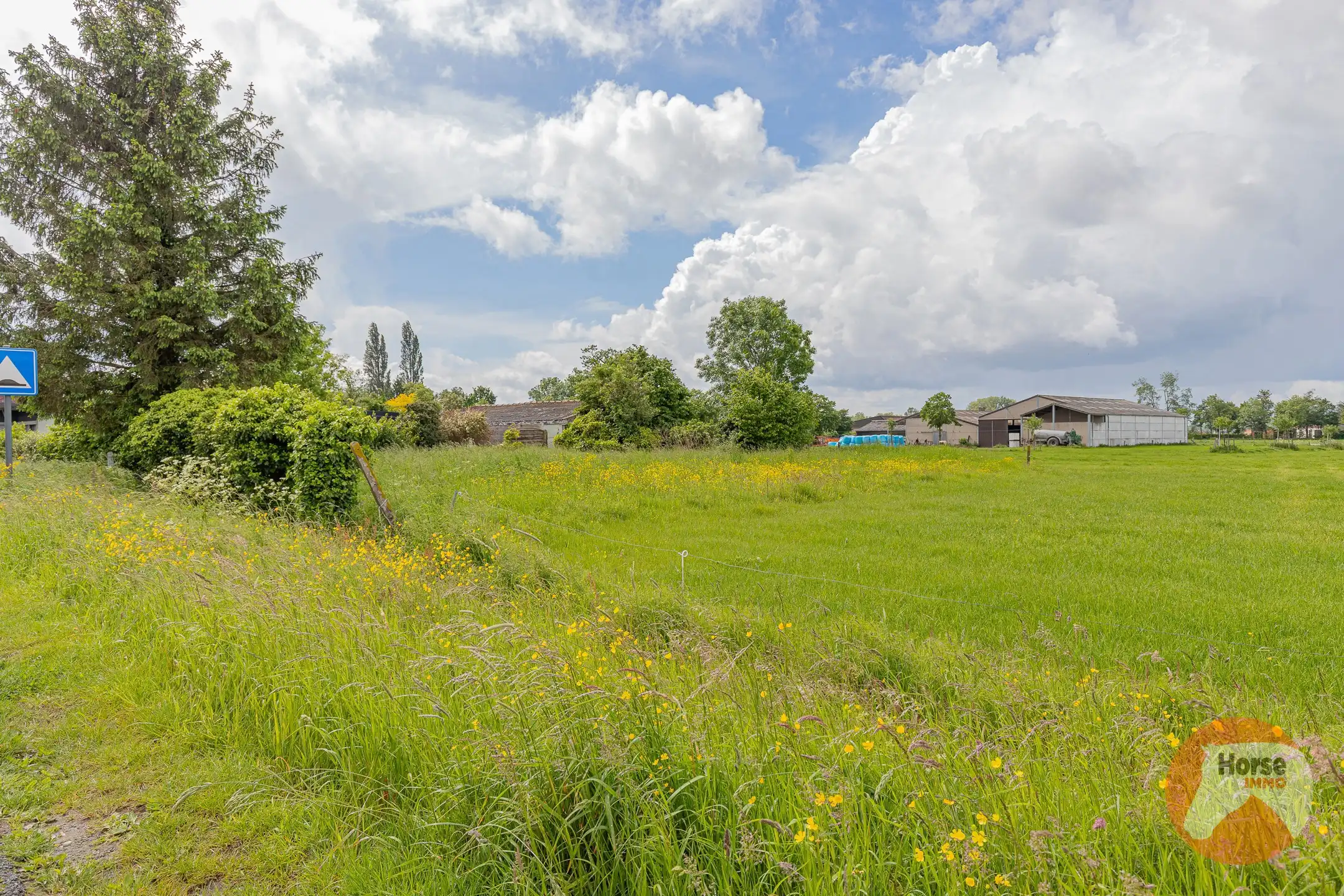 HOFSTADE - Charmante gelegen woning met bijgebouwen en weide foto 33