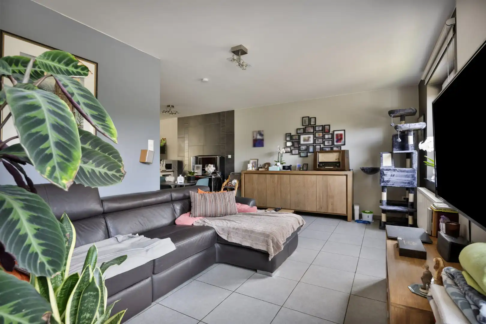 Ruime halfopen bebouwing met grote tuin op fietsafstand van het centrum van Tongeren foto 6