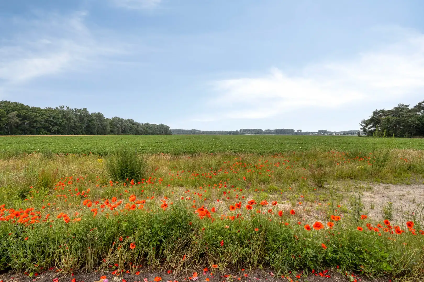 Grenzeloos wonen | Luxe villa in Clinge (NL) EPC A++++ foto 43