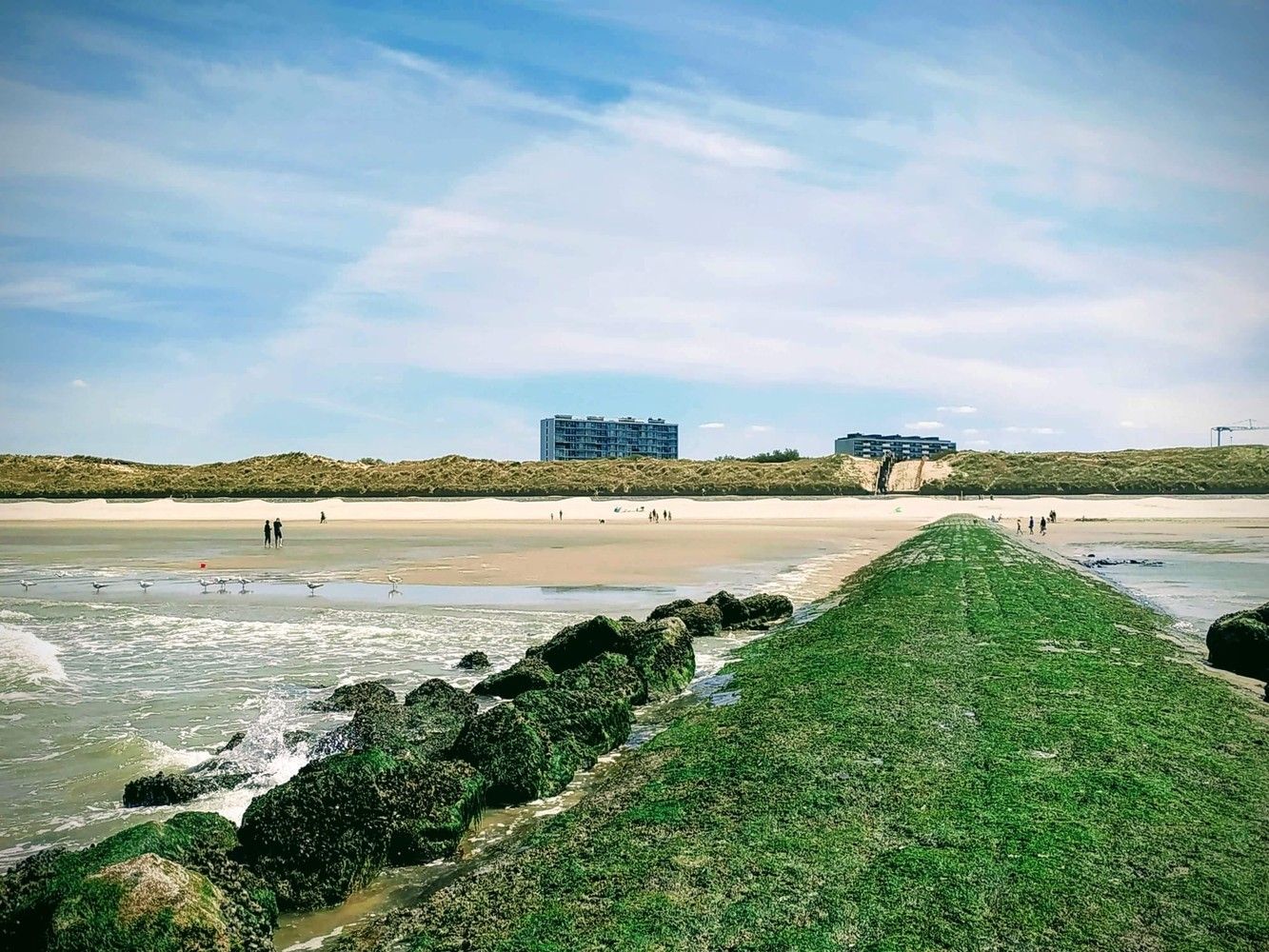 Instapklaar 1-slaapkamerappartement met adembenemend uitzicht te koop in Bredene foto 11