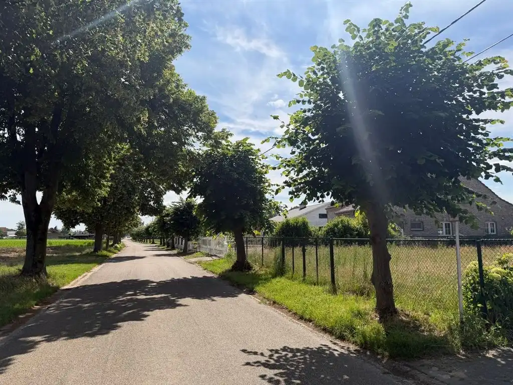 Bouwgrond voor open bebouwing foto 4