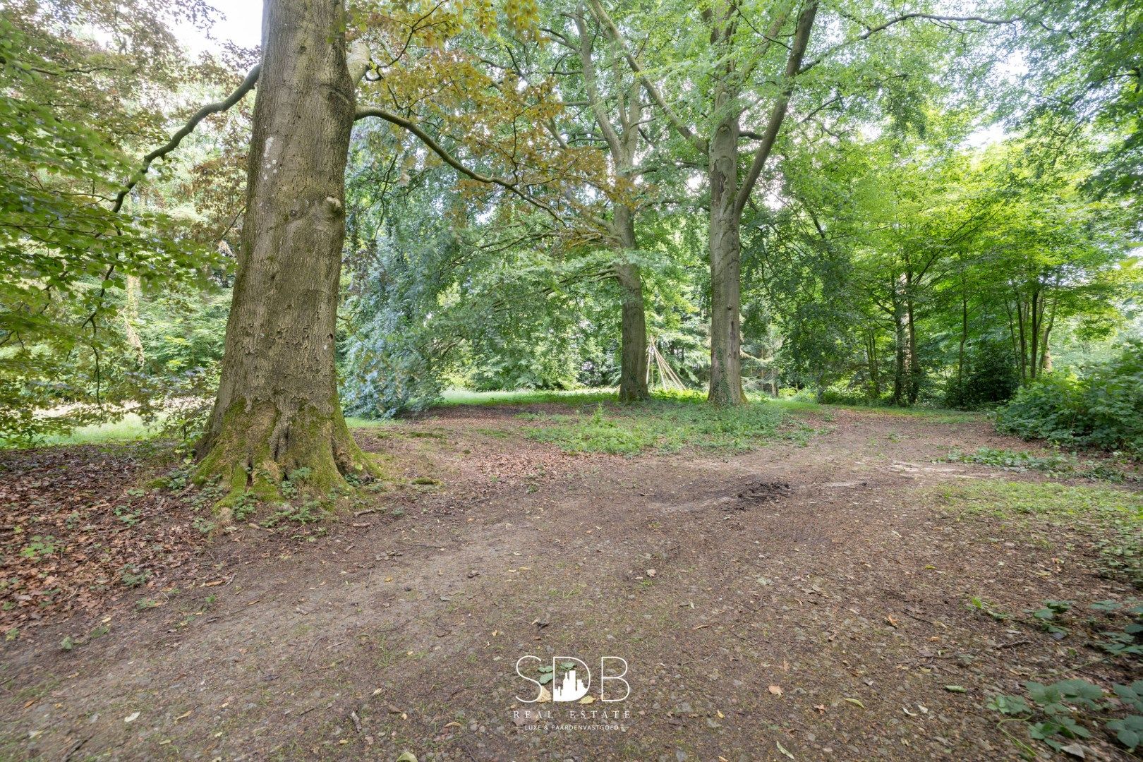 Prachtig kasteel met omringend park, weilanden en stalgebouw op circa 5hectare foto 32