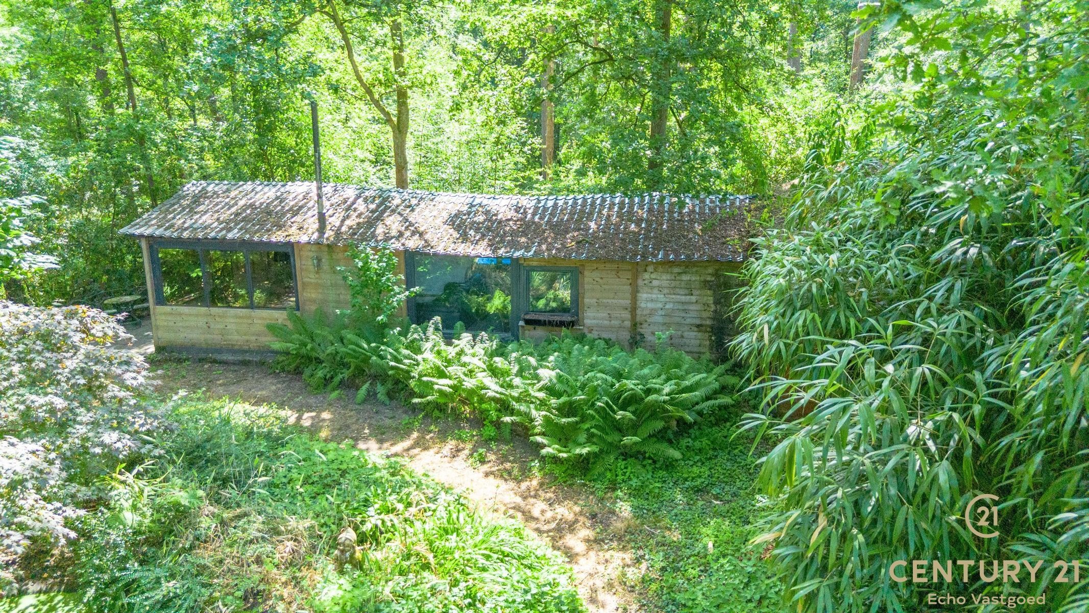 Volledig te renoveren vakantiechalet op een royaal perceel foto 16