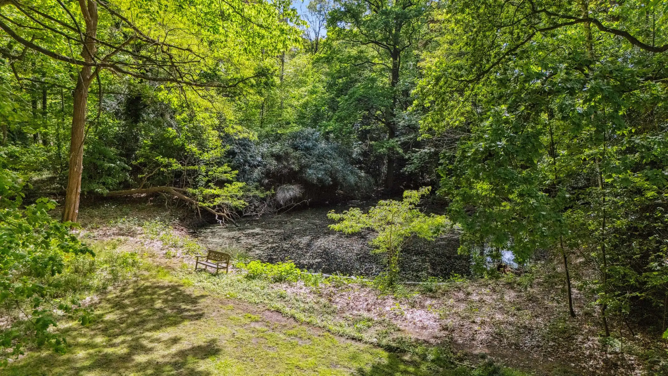 Prachtig kasteel in parktuin te SINT-KATELIJNE-WAVER foto 28