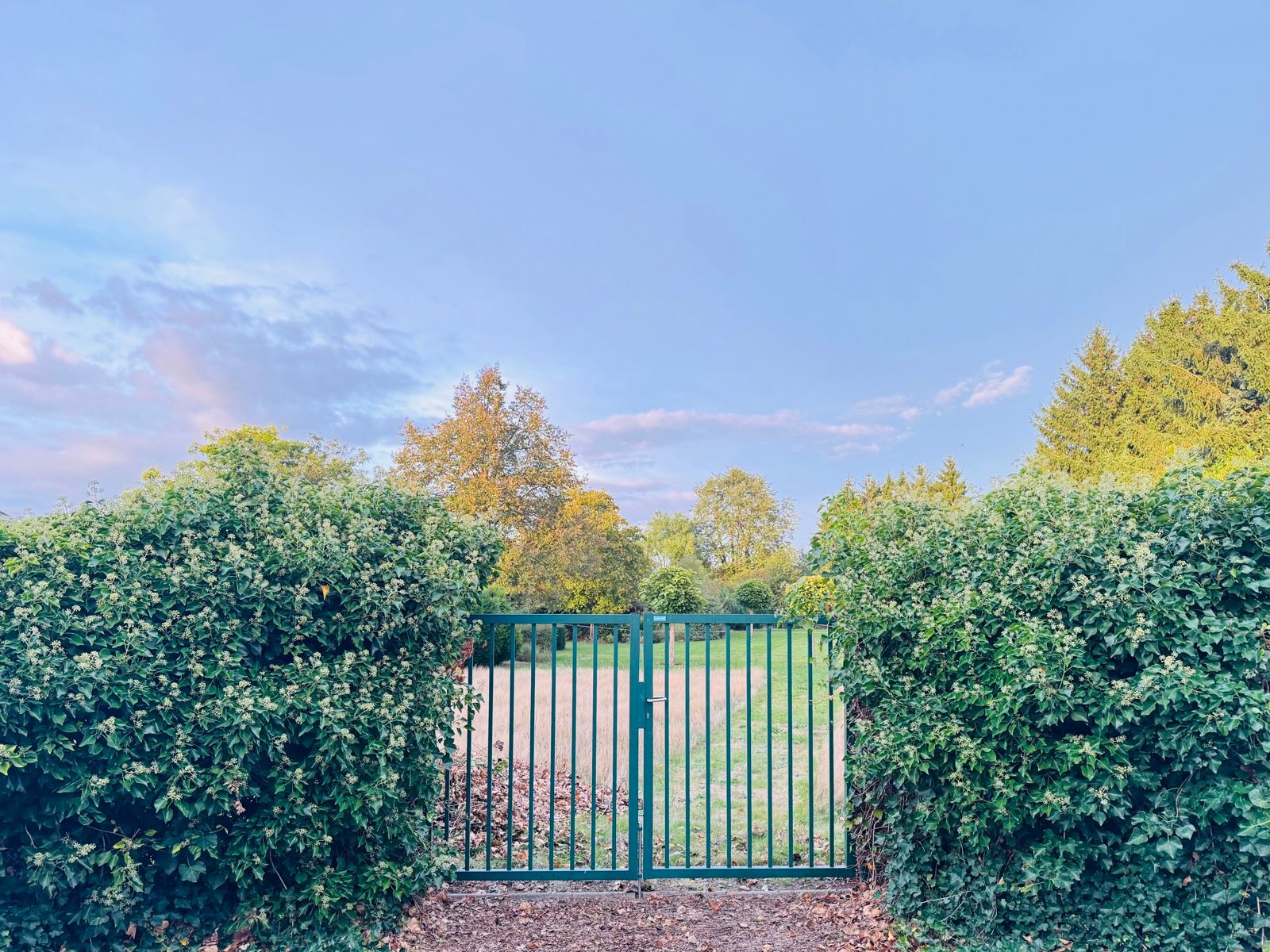 Bouwgrond van 861m² voor open bebouwing TOPLIGGING foto 10