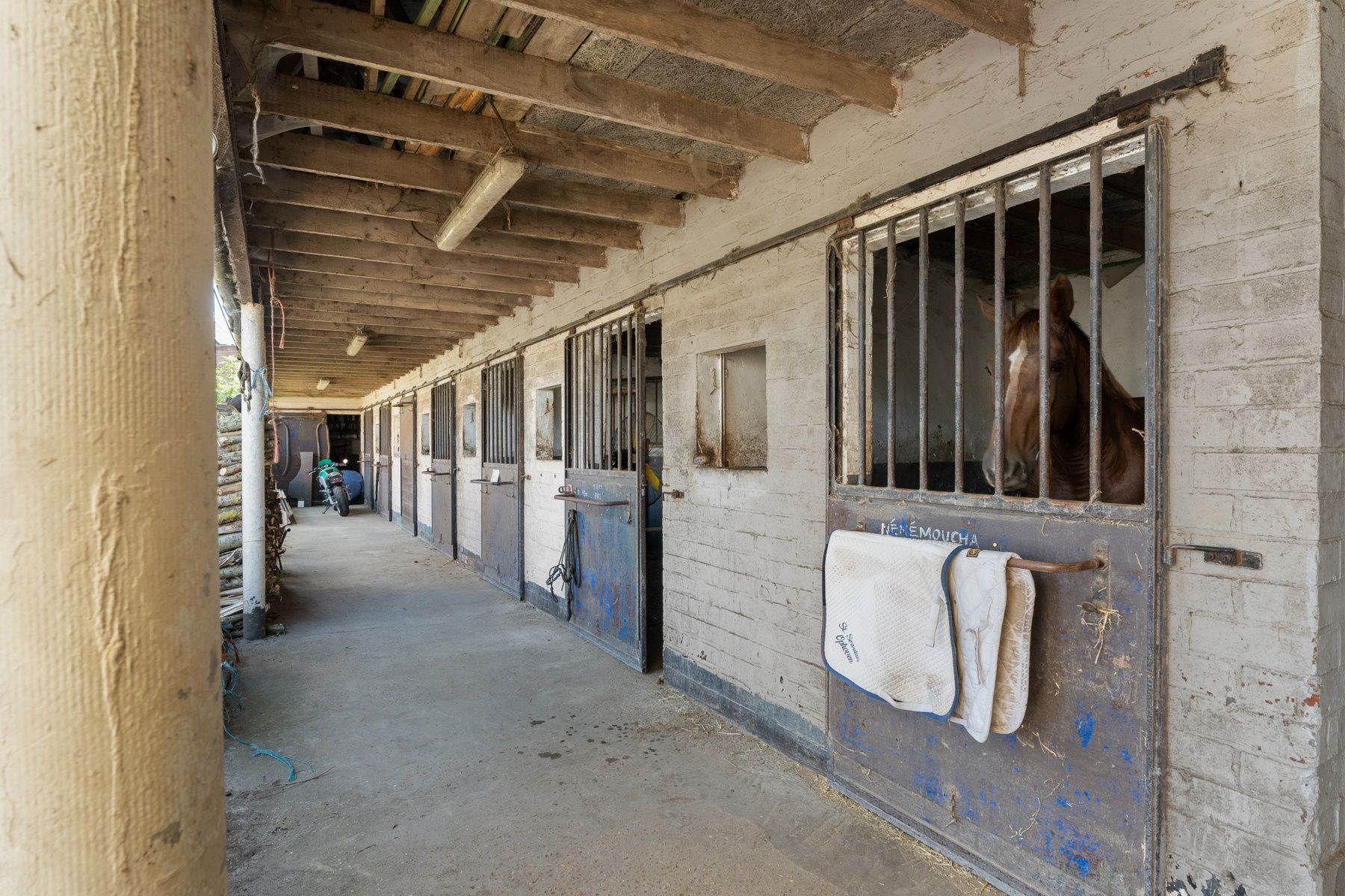 Charmante paardenmanège met woonruimte en gezellig café in Varsenare foto 16