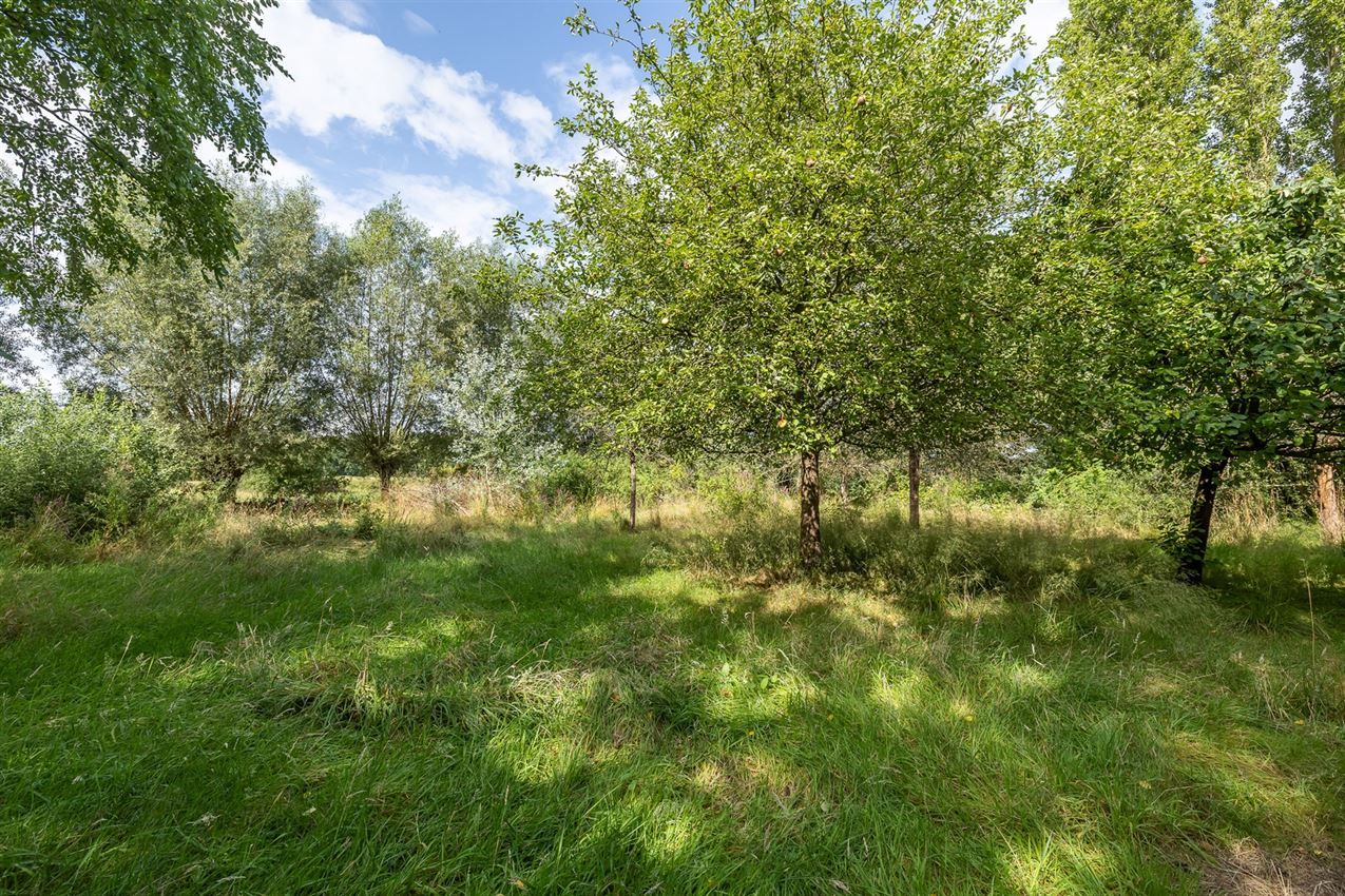 gerenoveerd, 4 slkp, label B, topligging foto 8