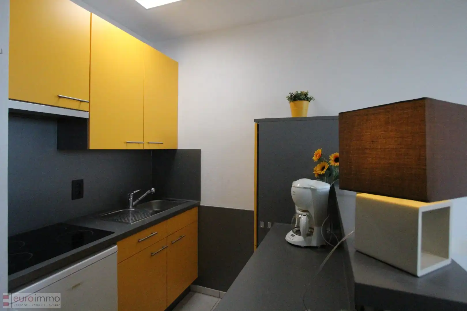 Zuidgerichte studio op een centrale ligging te Nieuwpoort-Bad. foto 4