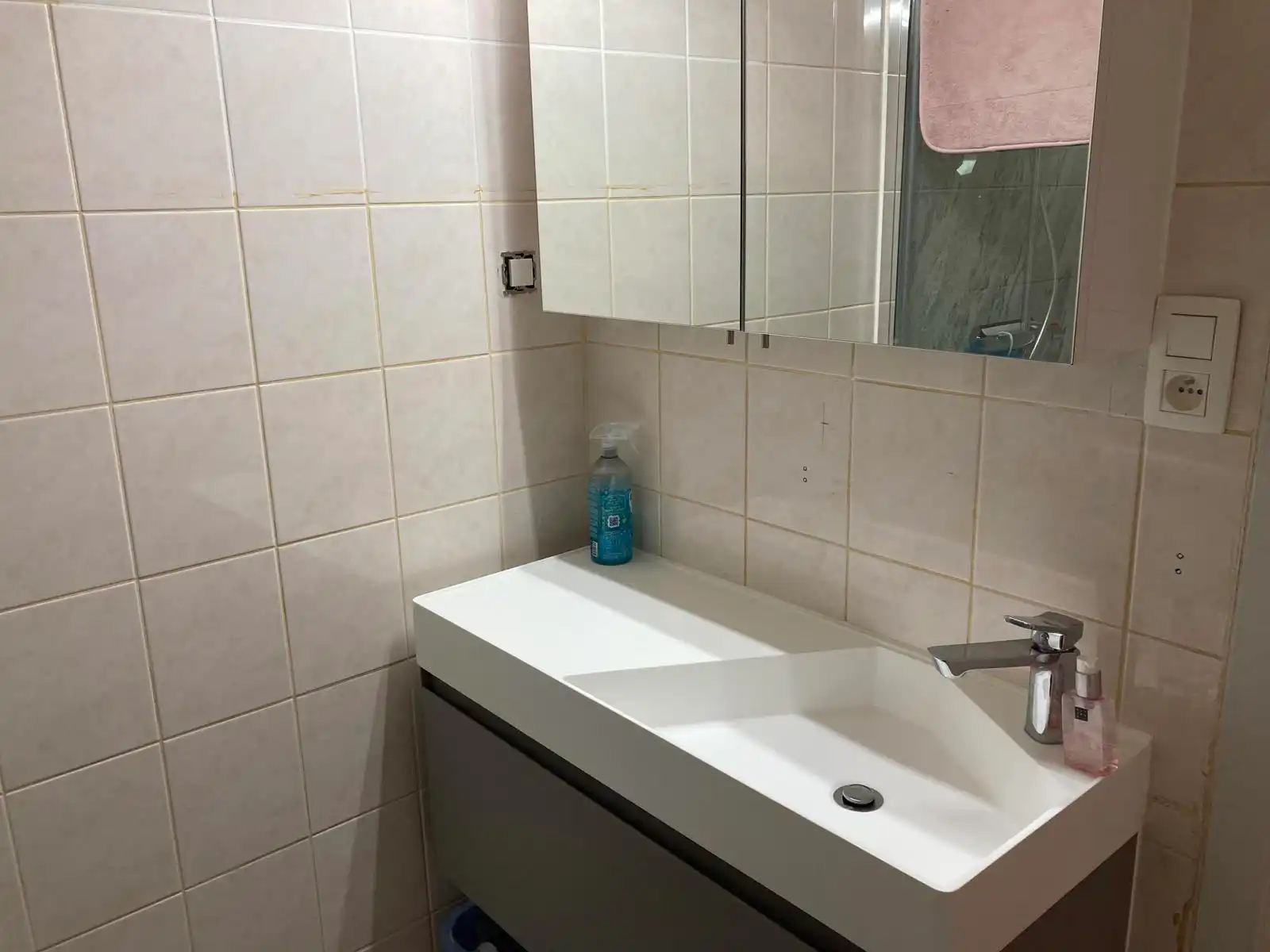 SCHELLEBELLE - Gelijkvloers appartement met tuintje. foto 10