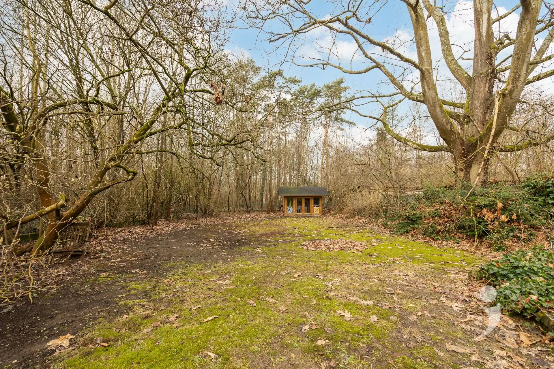 Kwalitatief wonen aan de rand van het bos! foto 26