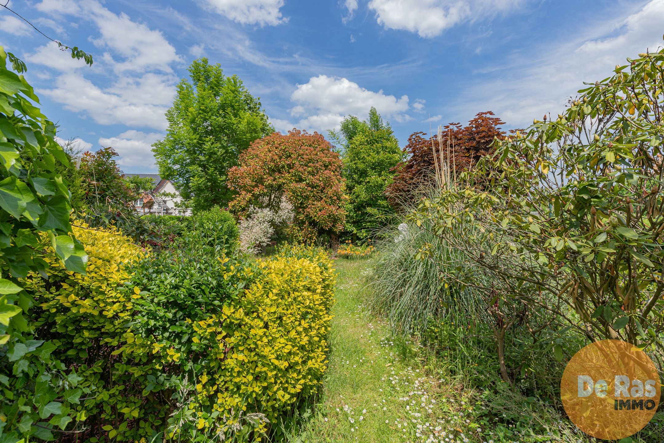 LEDE karaktervolle woning met zuid gerichte tuin foto 4