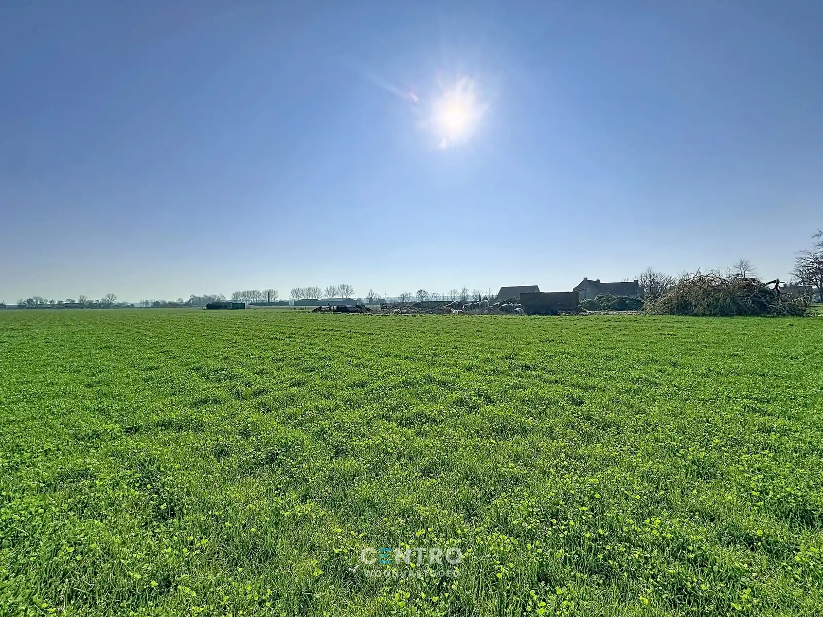 4,5 hectare grond met 1 hectare bouwvlak! foto 3