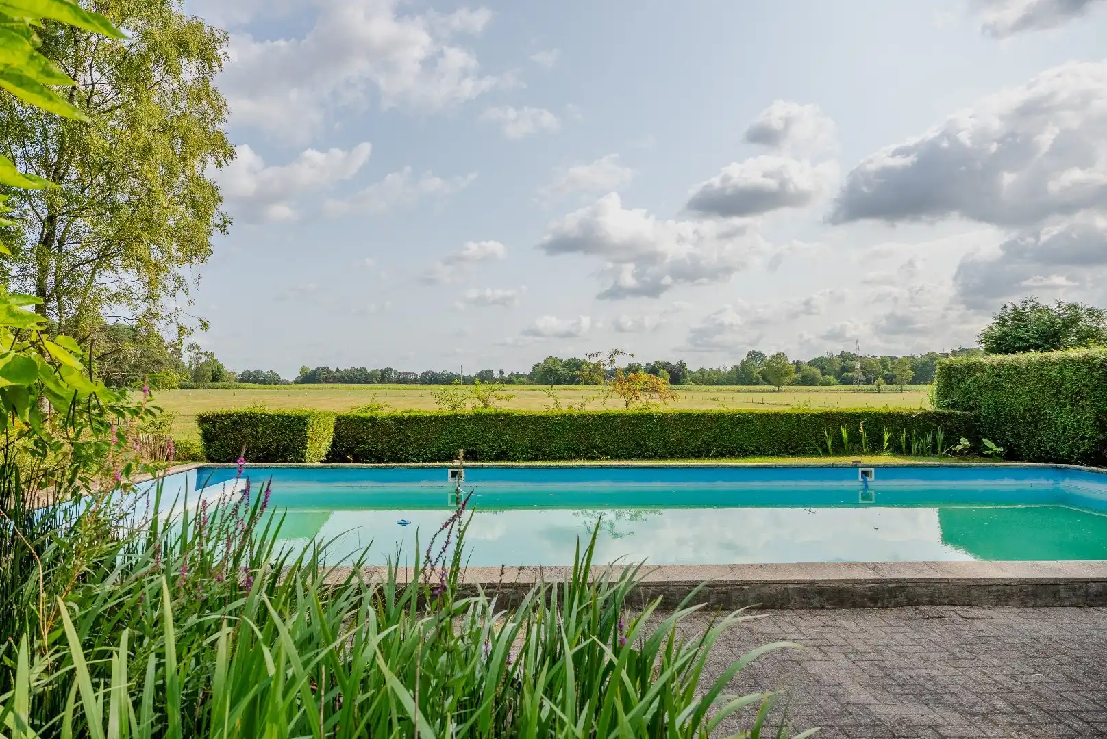 Villa met vergezicht en zwembad in Brasschaat foto 5