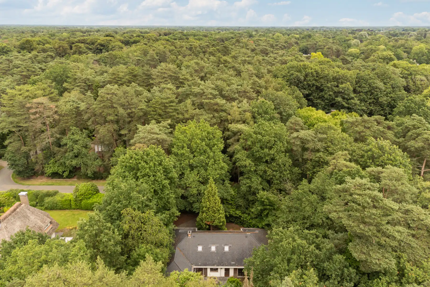 Hof Ter Linden bouwgrond/te renoveren villa  op 2000 m² foto 8