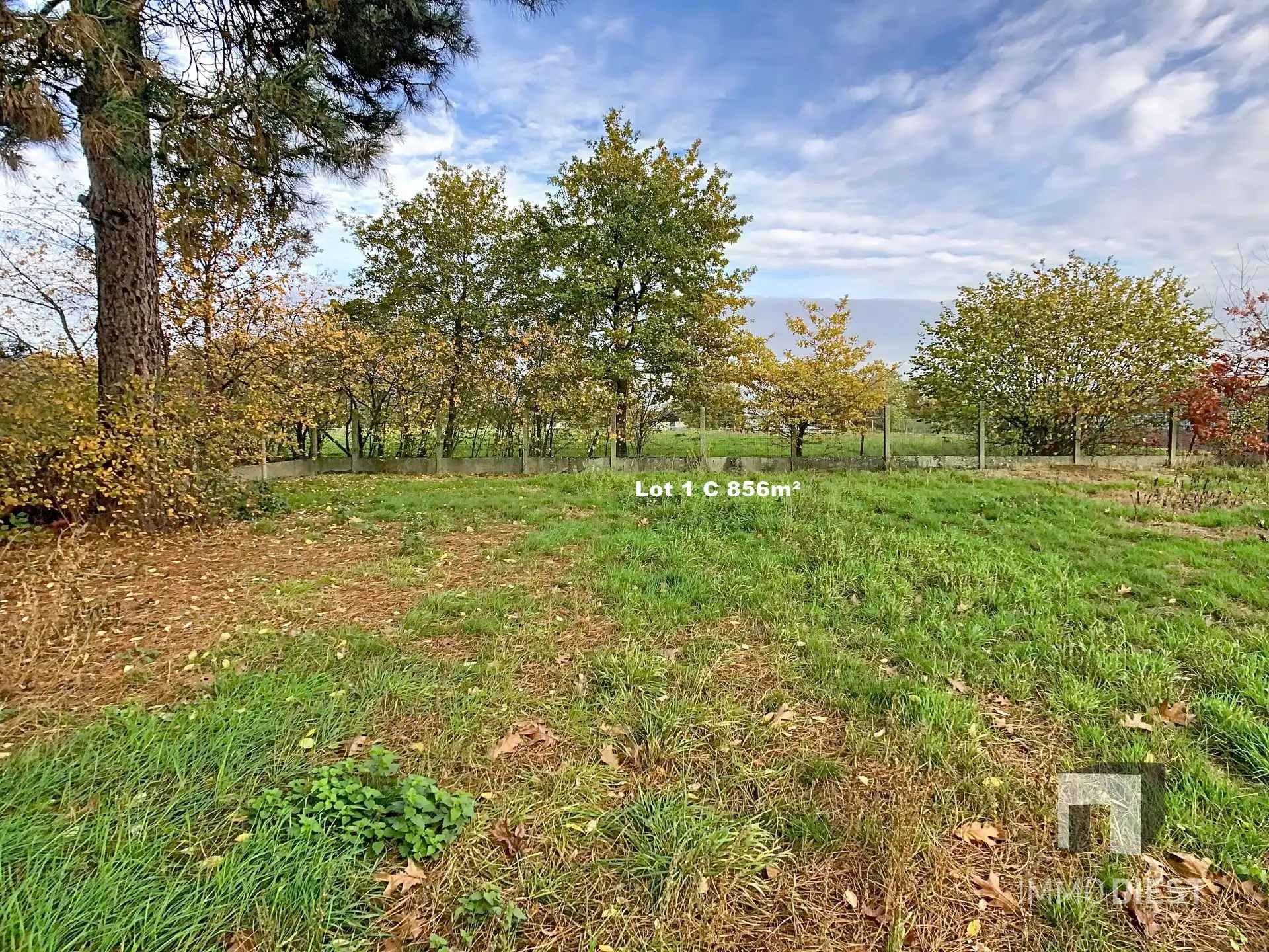Landbouwgronden of weiden 6.067 m² foto 11