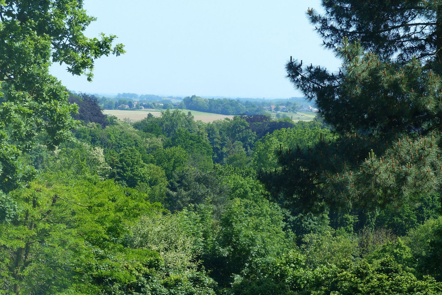 TOPKLASSE  villa op 1,05 hectare, zeer rustig op hoogste punt van het Hageland foto 4