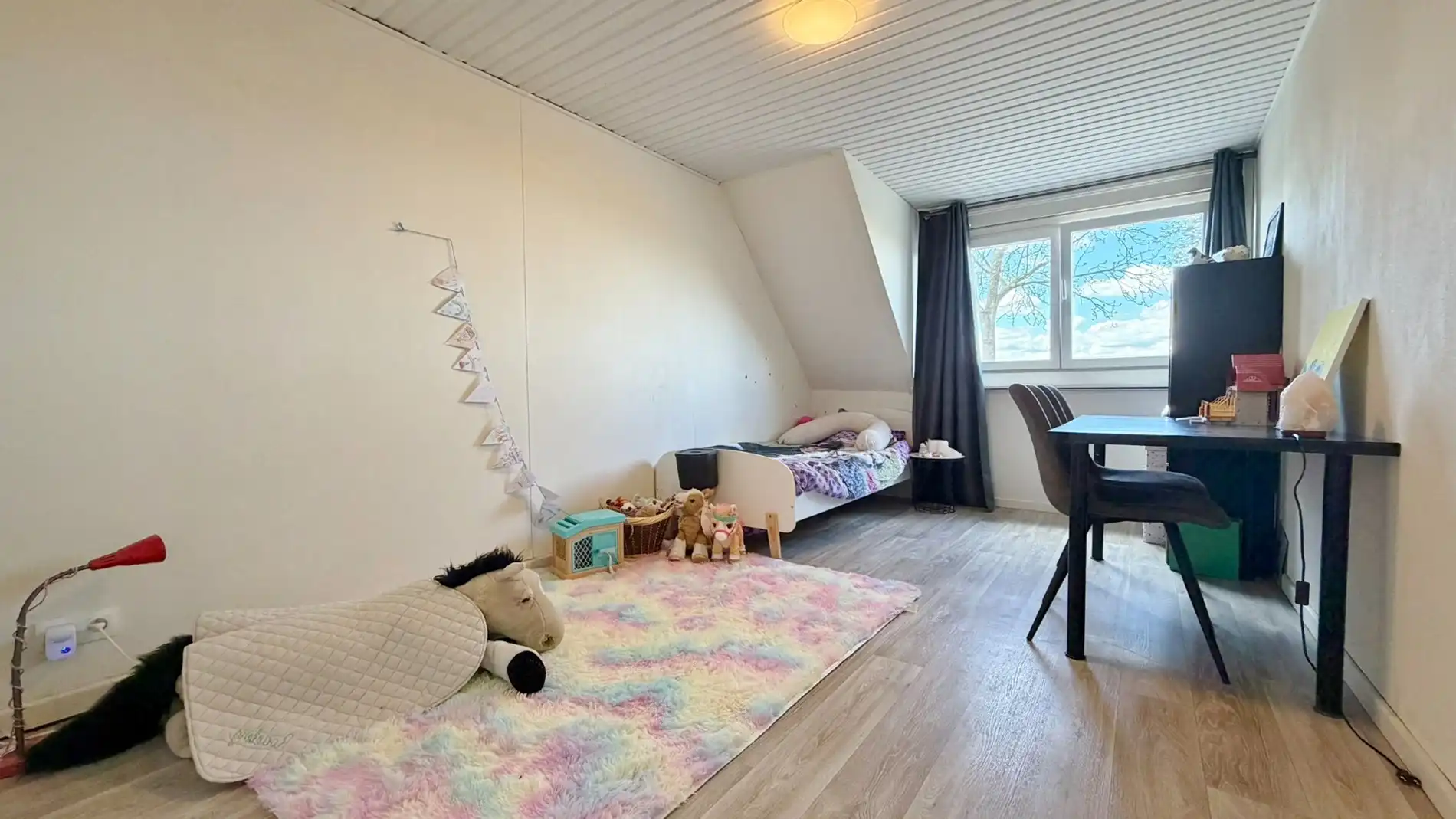 Ruime landelijk gelegen woning met zonnige tuin en garage  foto 12