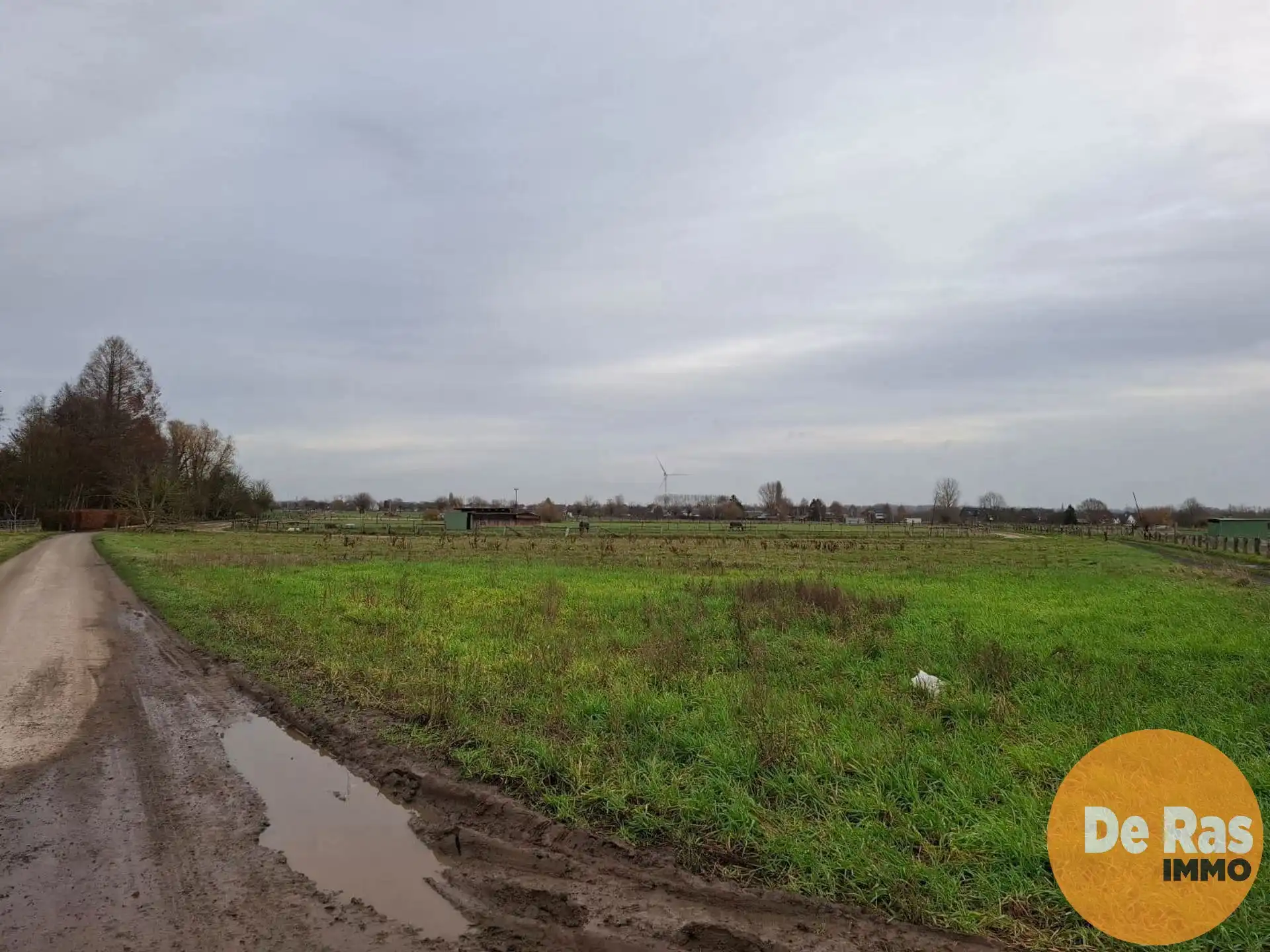 HAALTERT – Perceel weiland van 19a 10ca foto 3